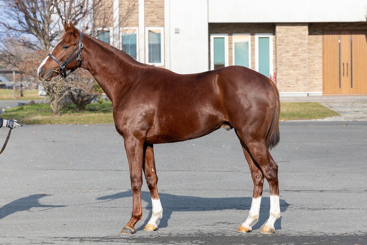 画像サムネイル