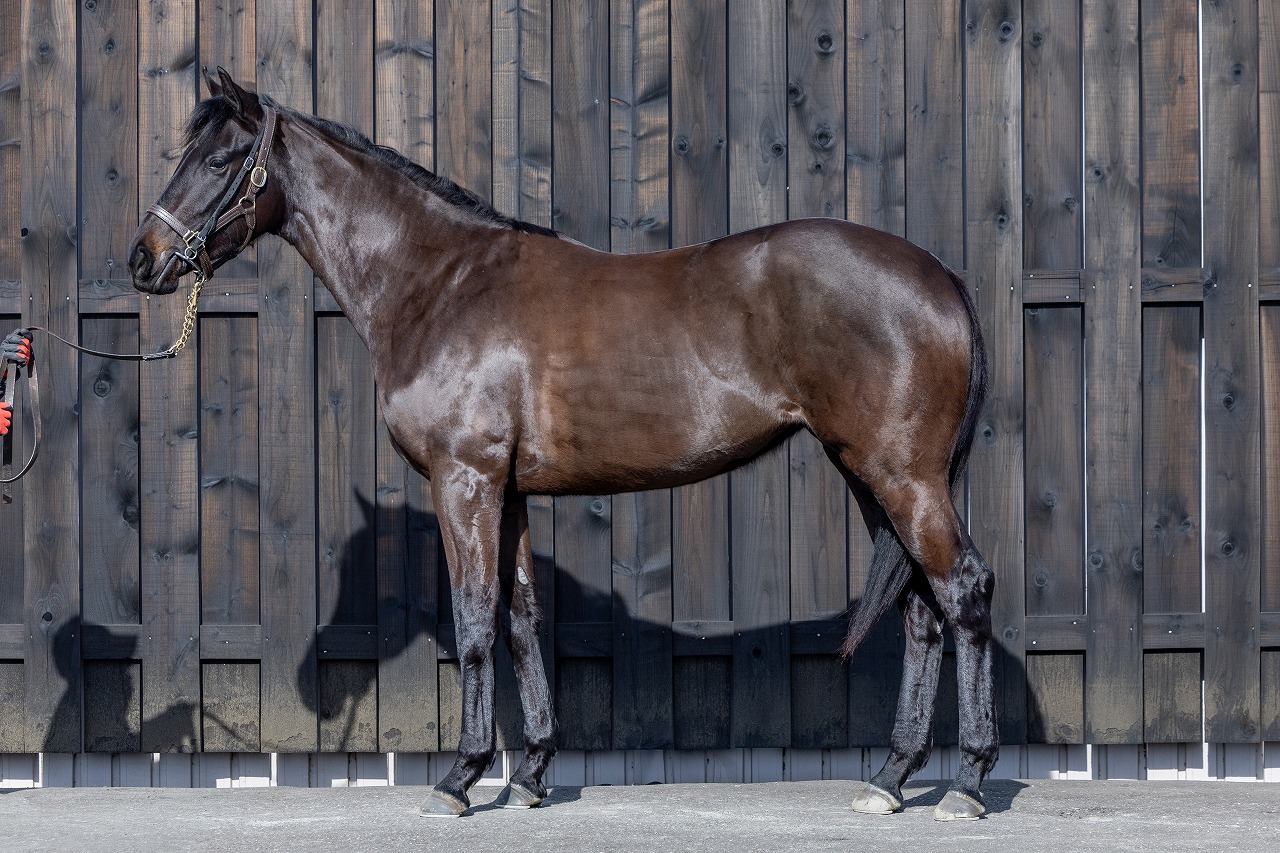 画像サムネイル