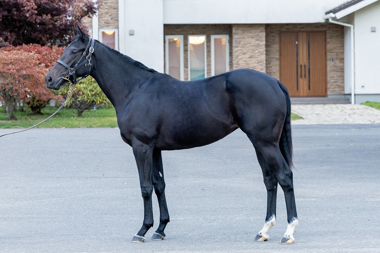 画像サムネイル