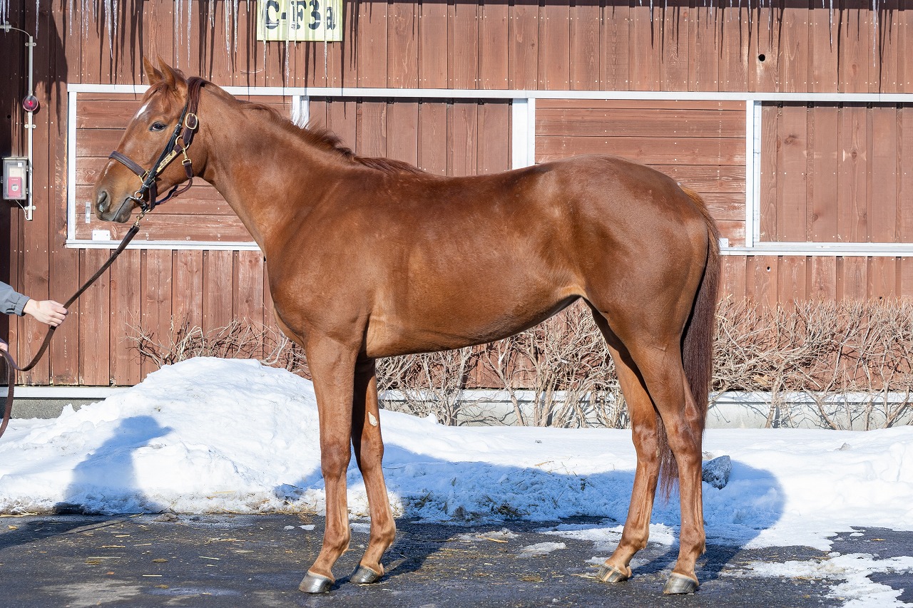 画像サムネイル