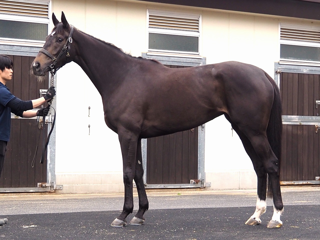 画像サムネイル