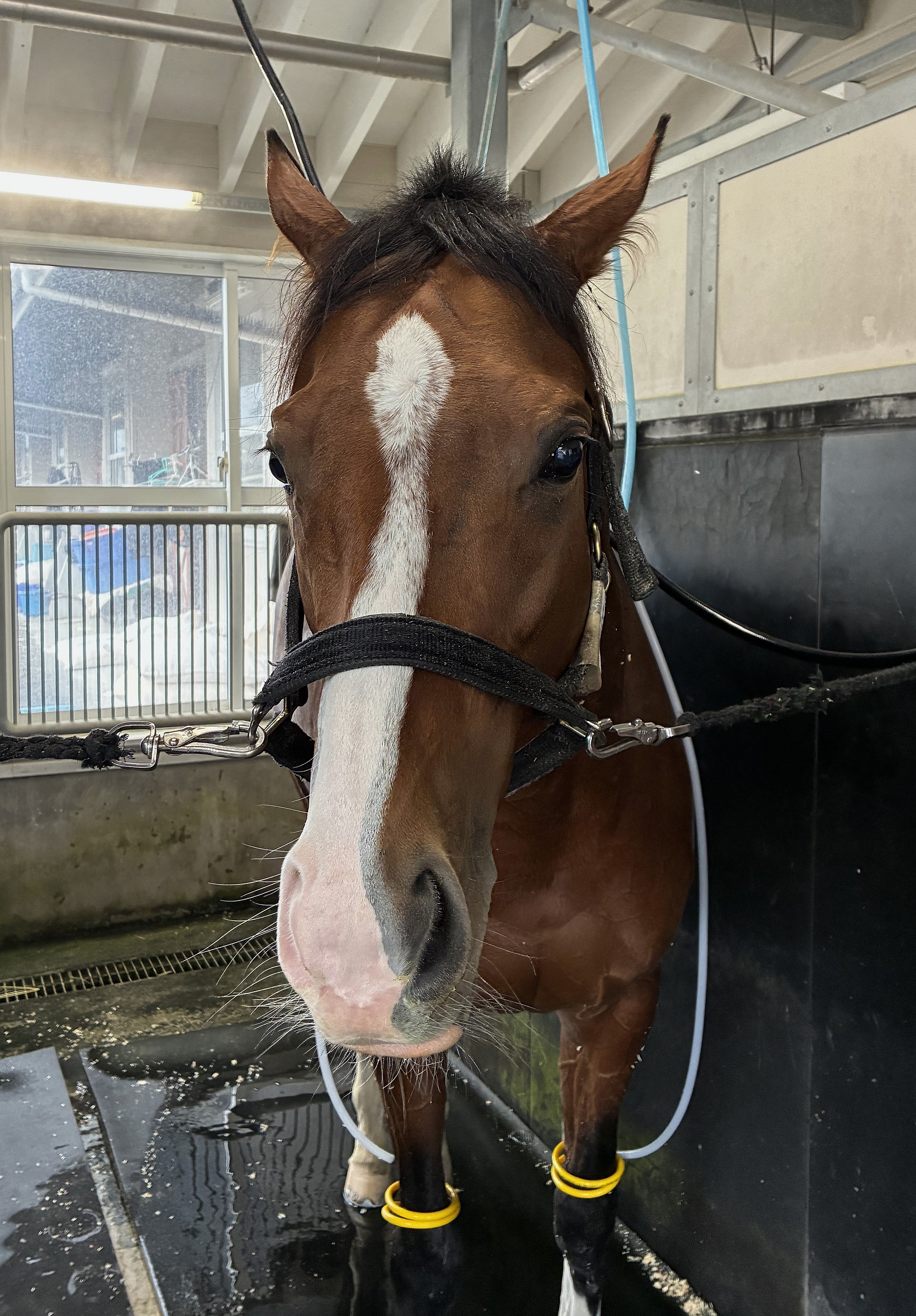 画像サムネイル