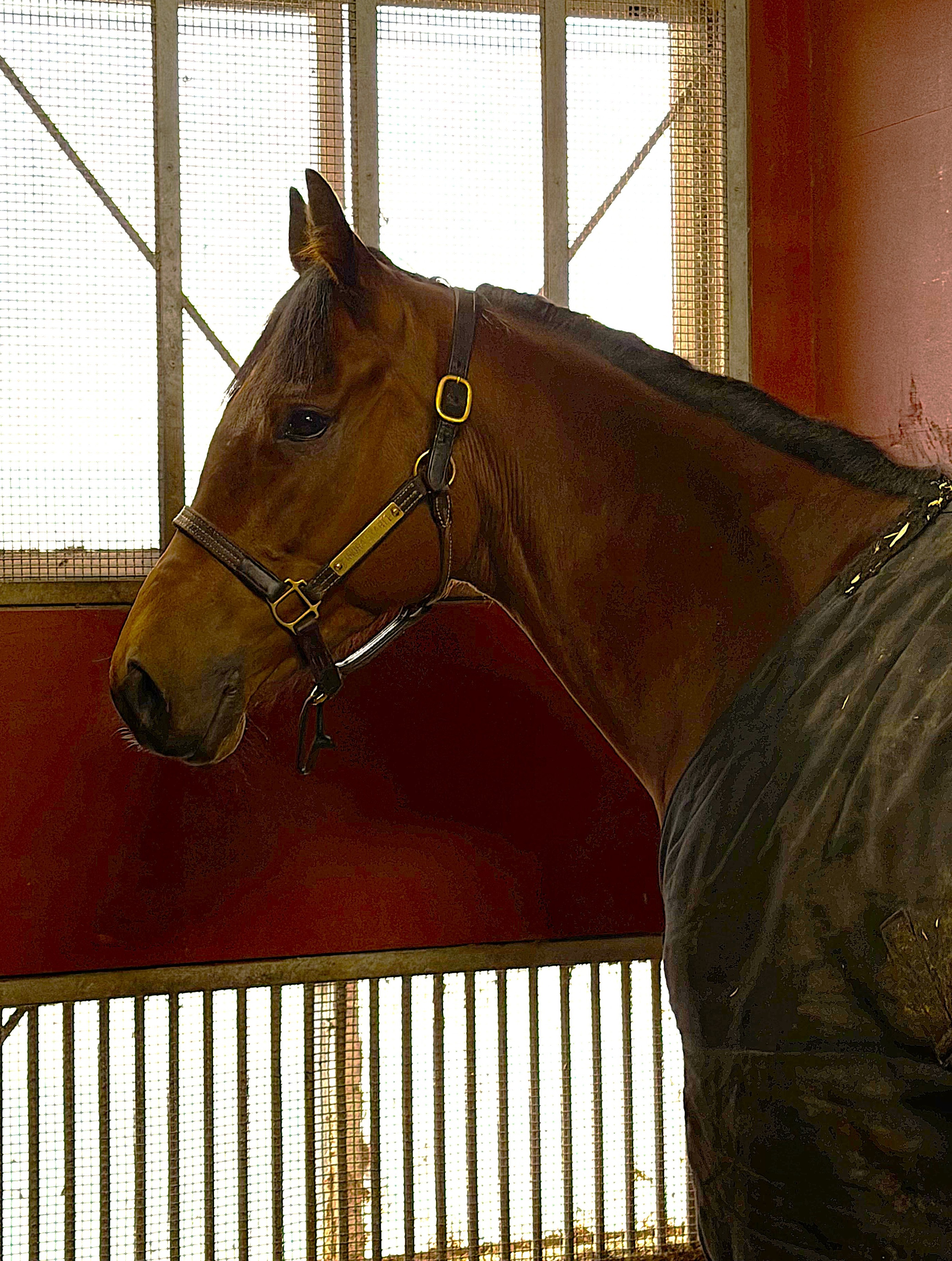 画像サムネイル