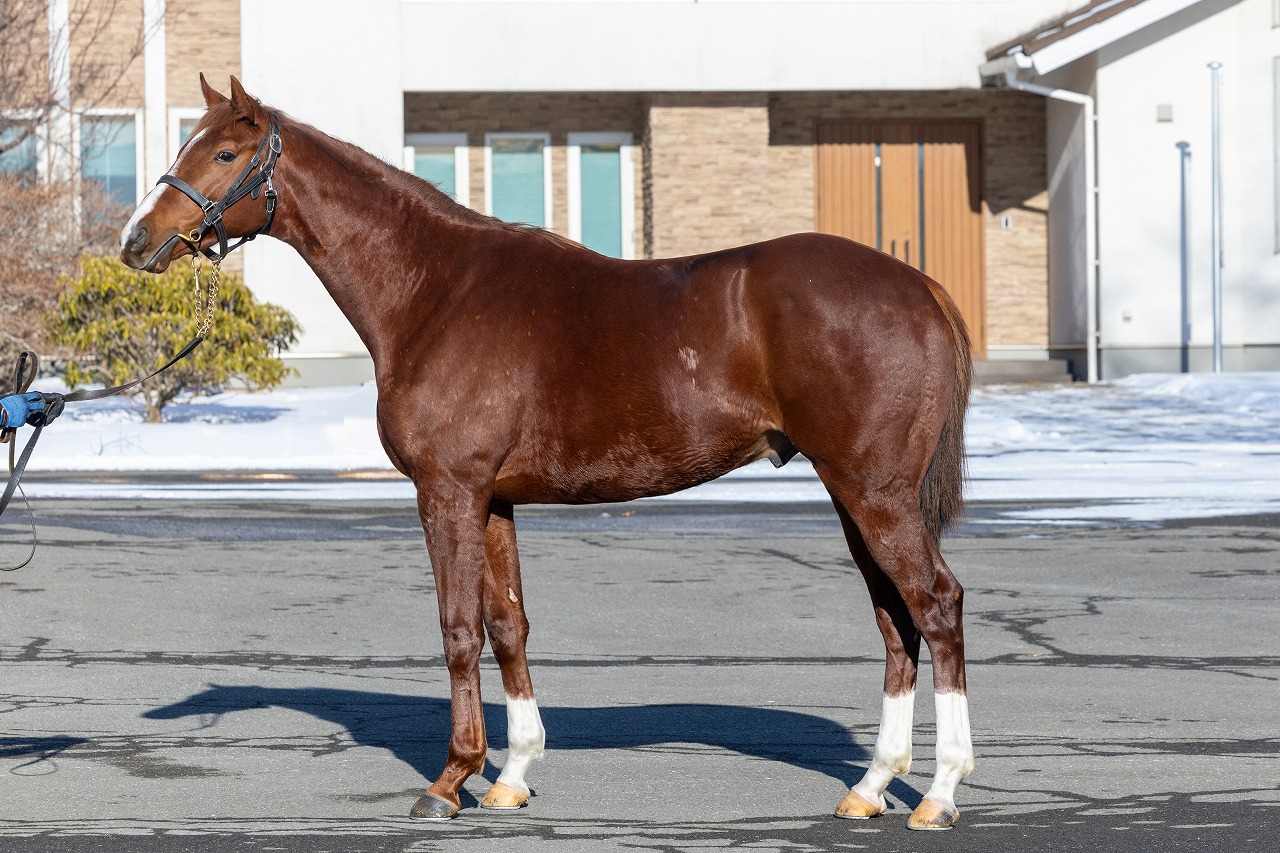 画像サムネイル