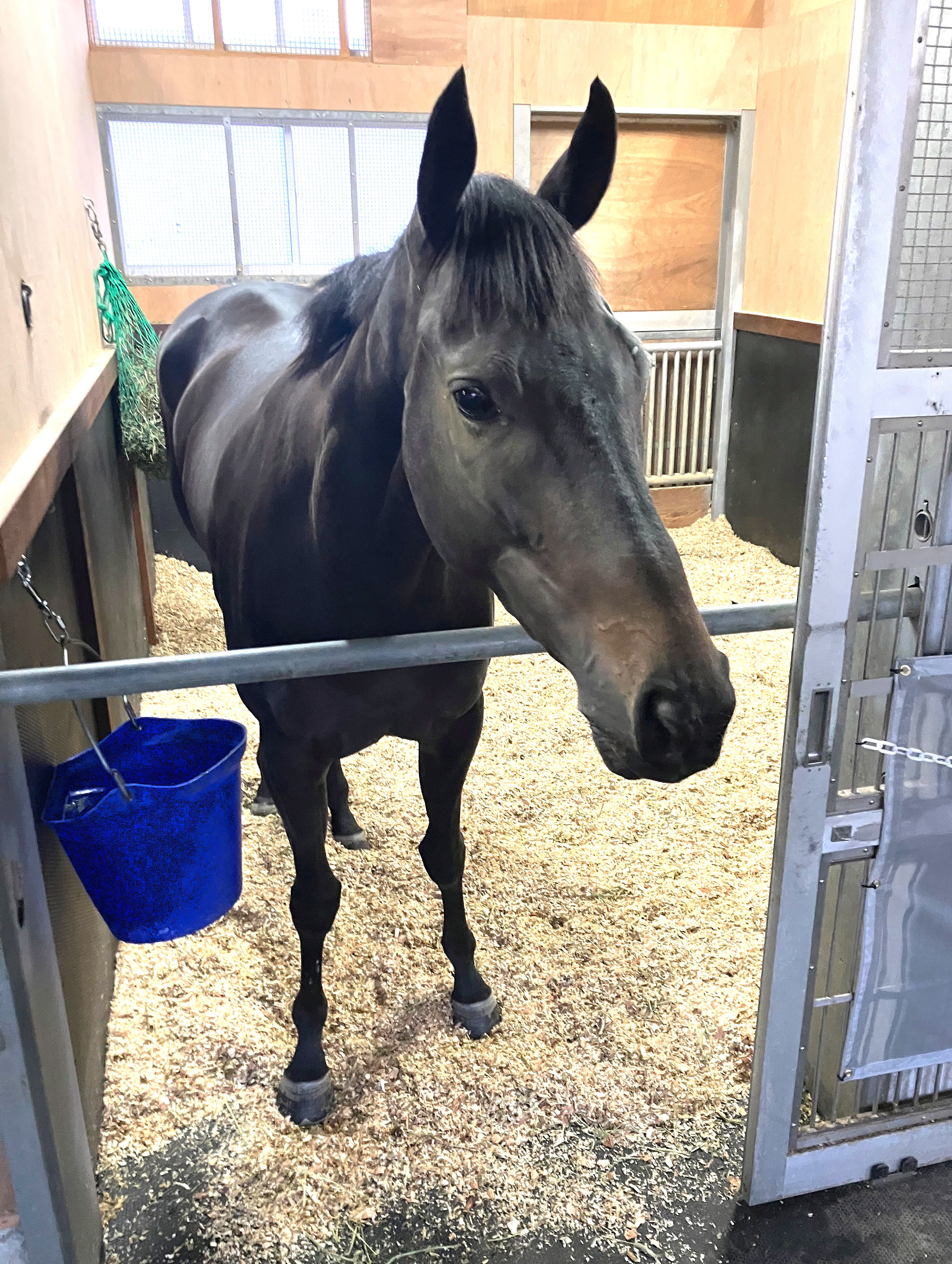 画像サムネイル