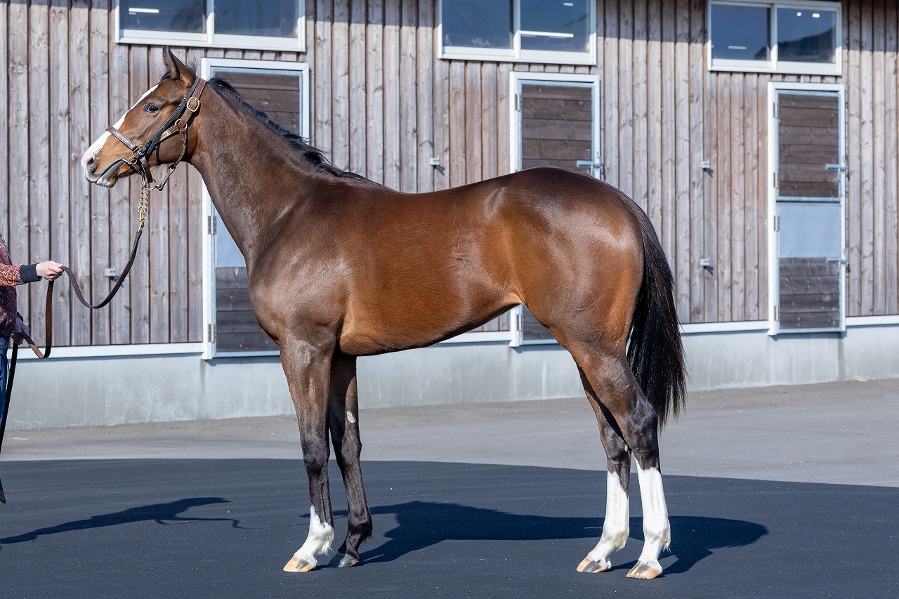 画像サムネイル