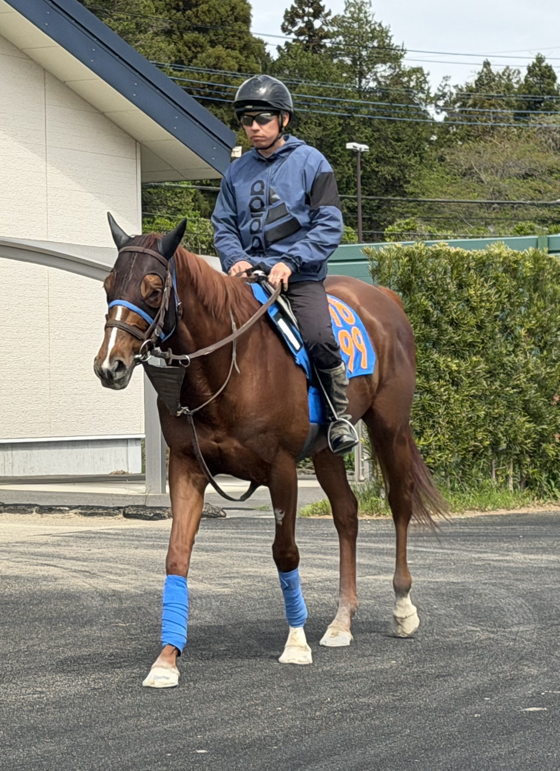 画像サムネイル