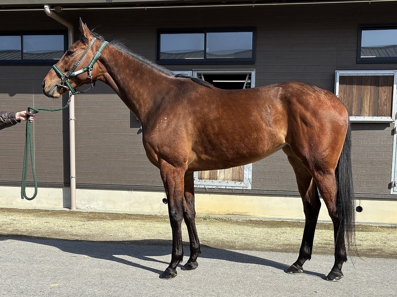 画像サムネイル