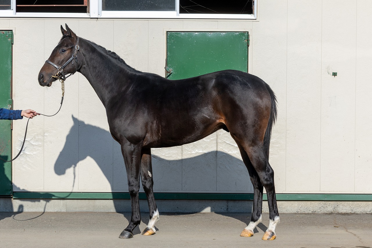 画像サムネイル