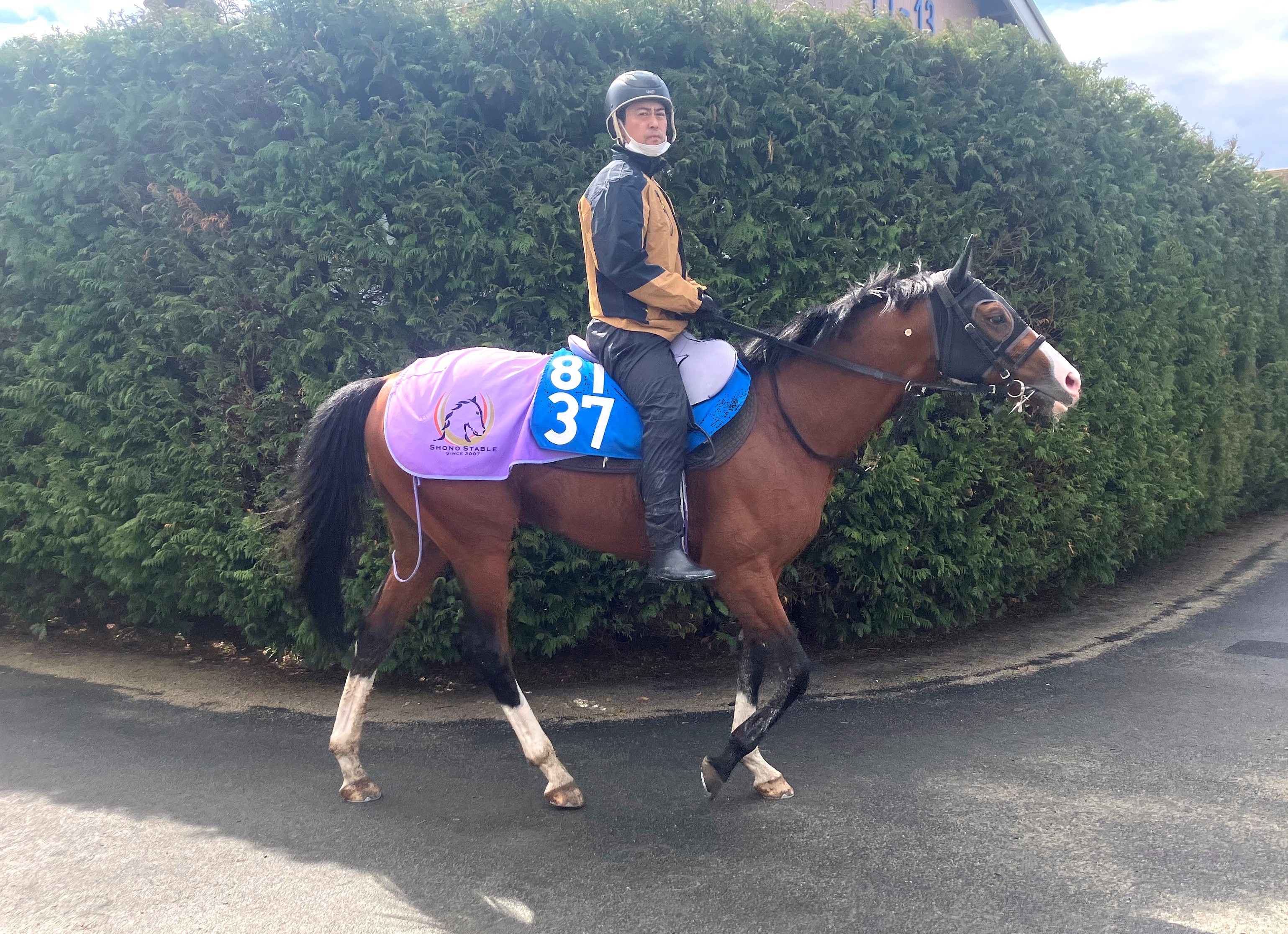 画像サムネイル