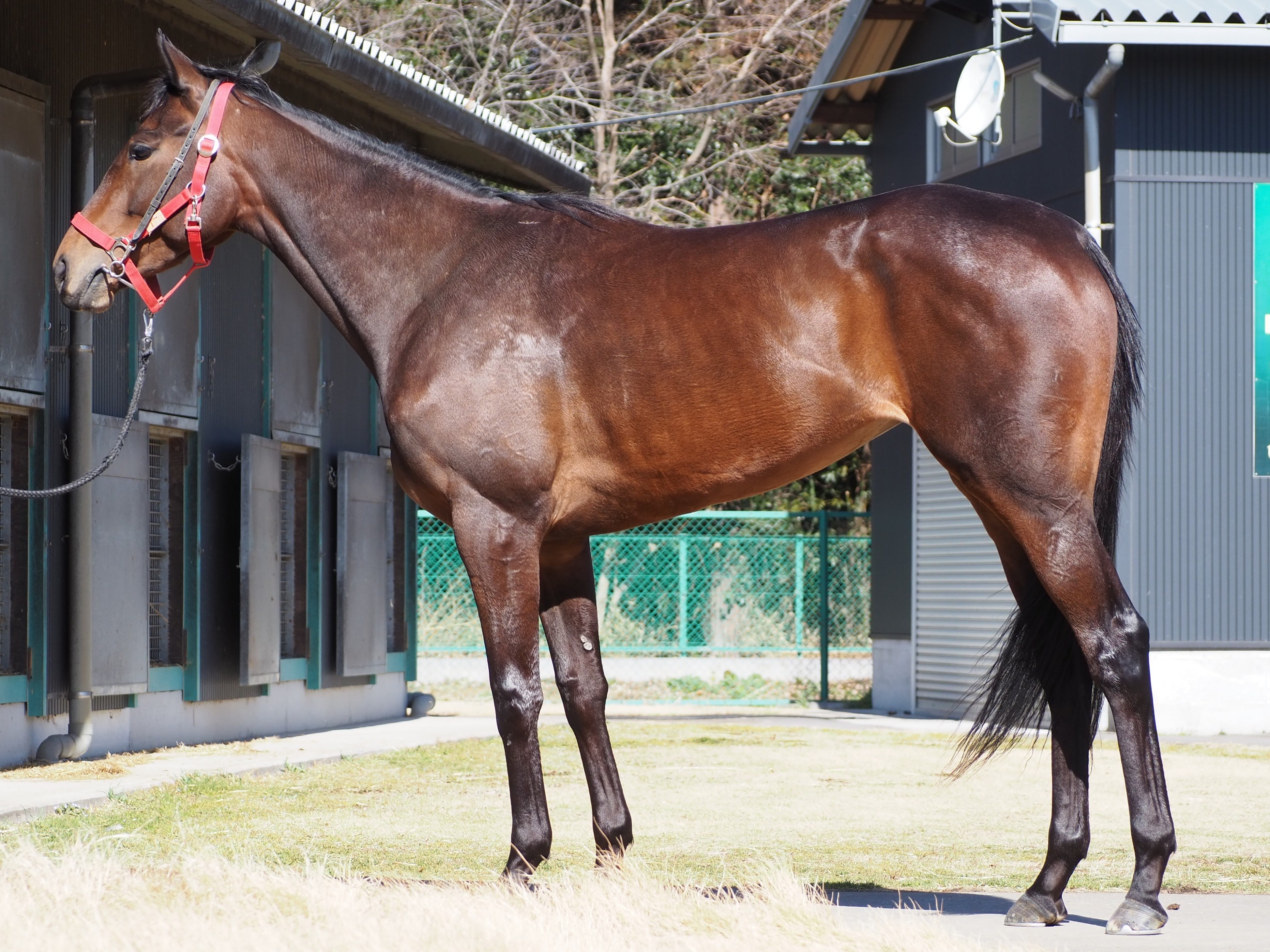 画像サムネイル