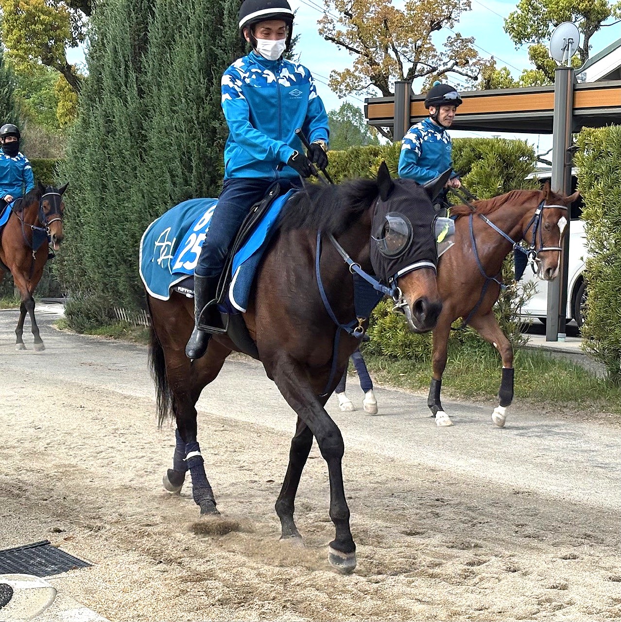 画像サムネイル