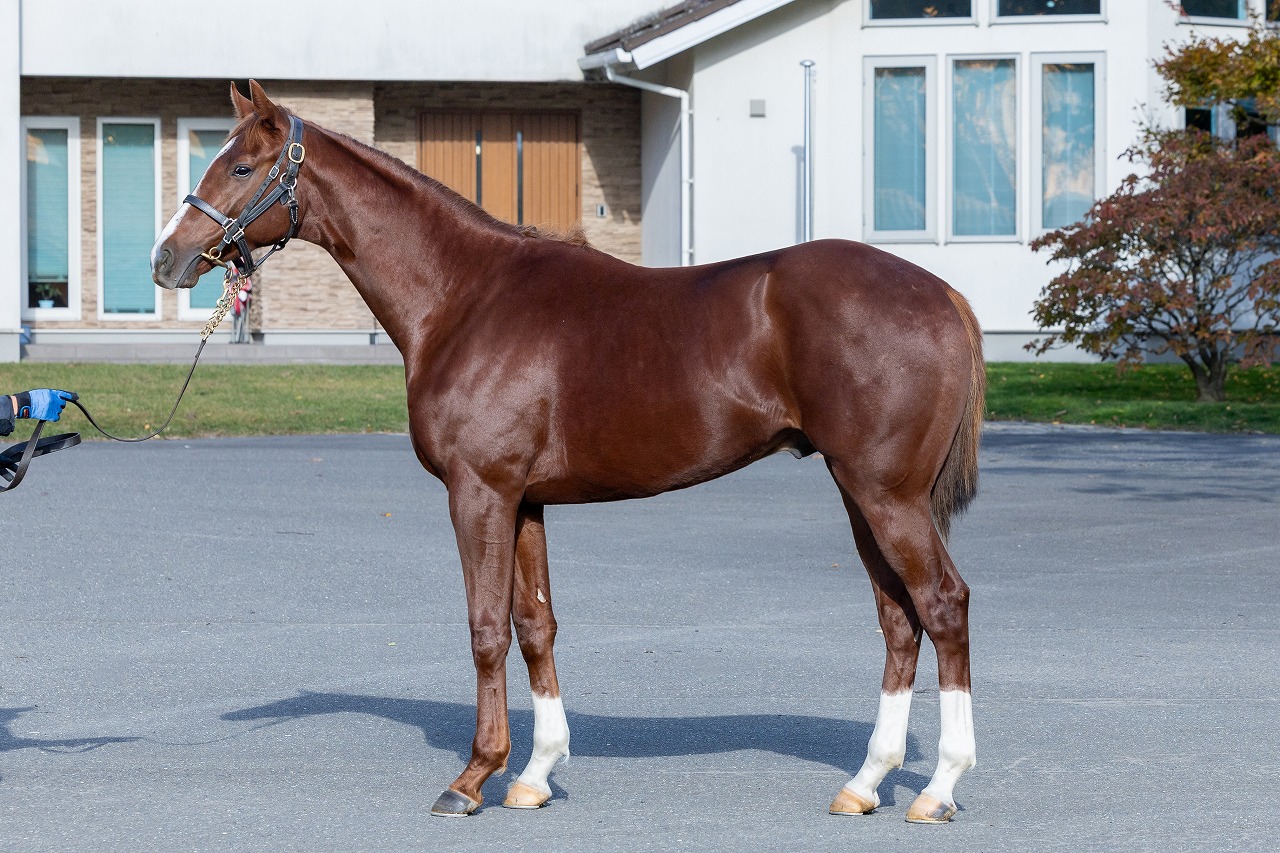 画像サムネイル