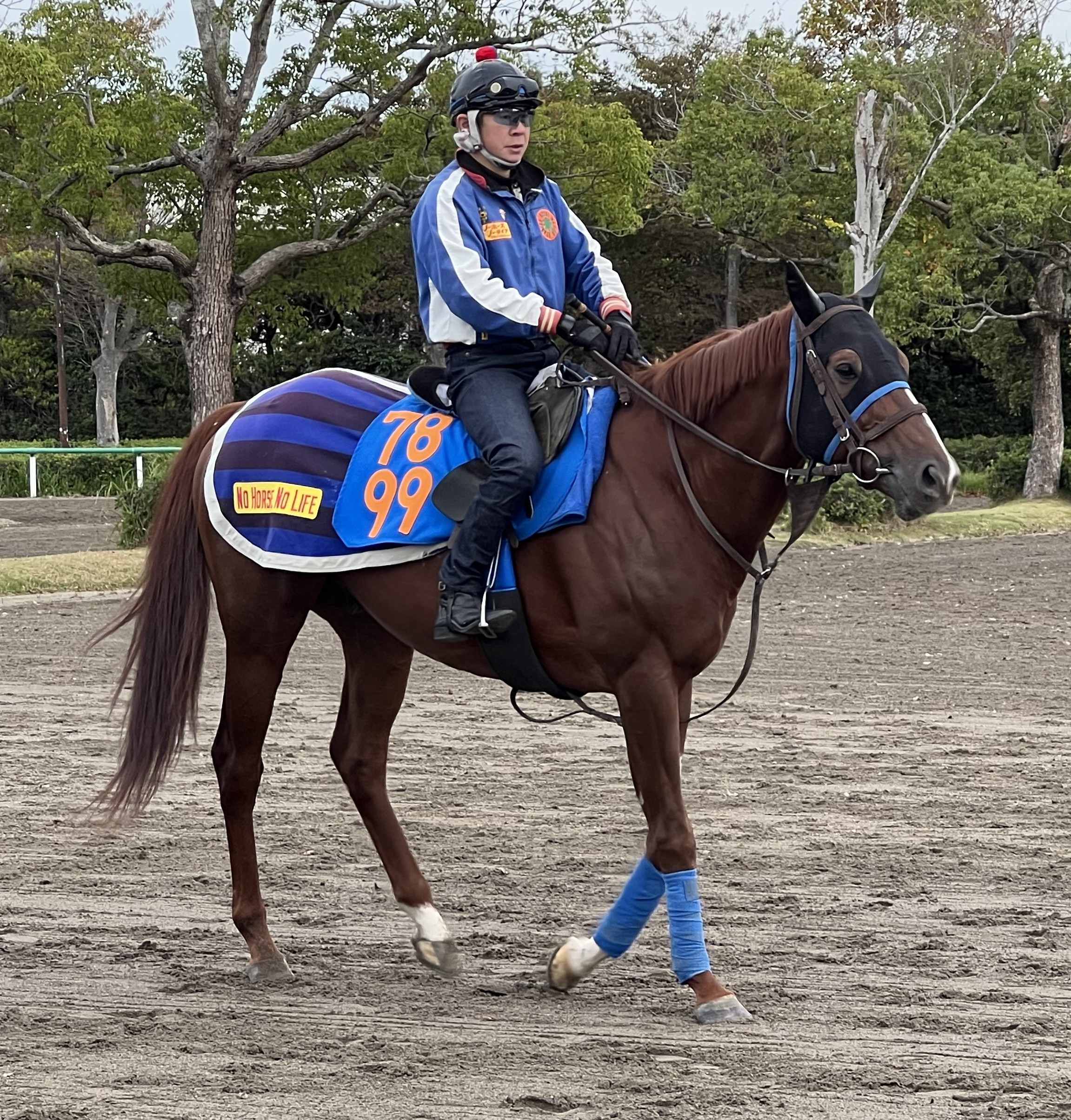 画像サムネイル