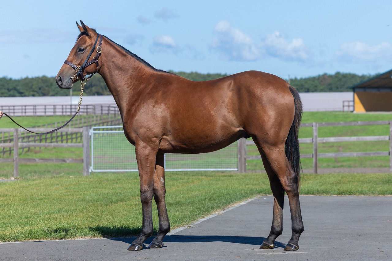 画像サムネイル