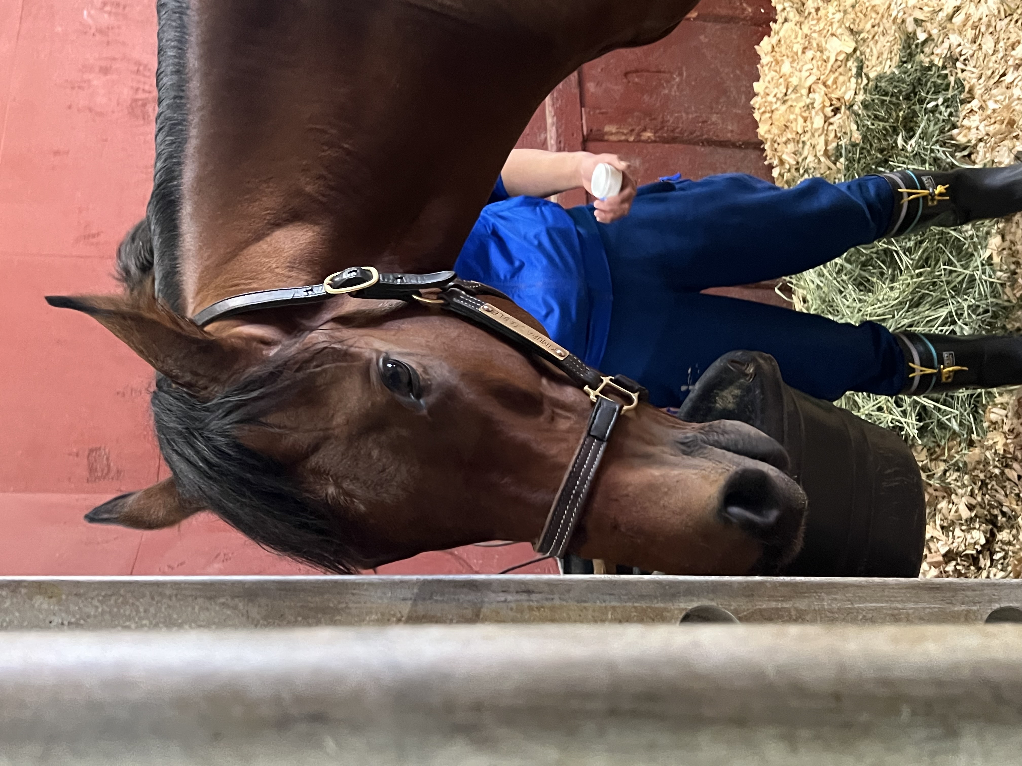 画像サムネイル