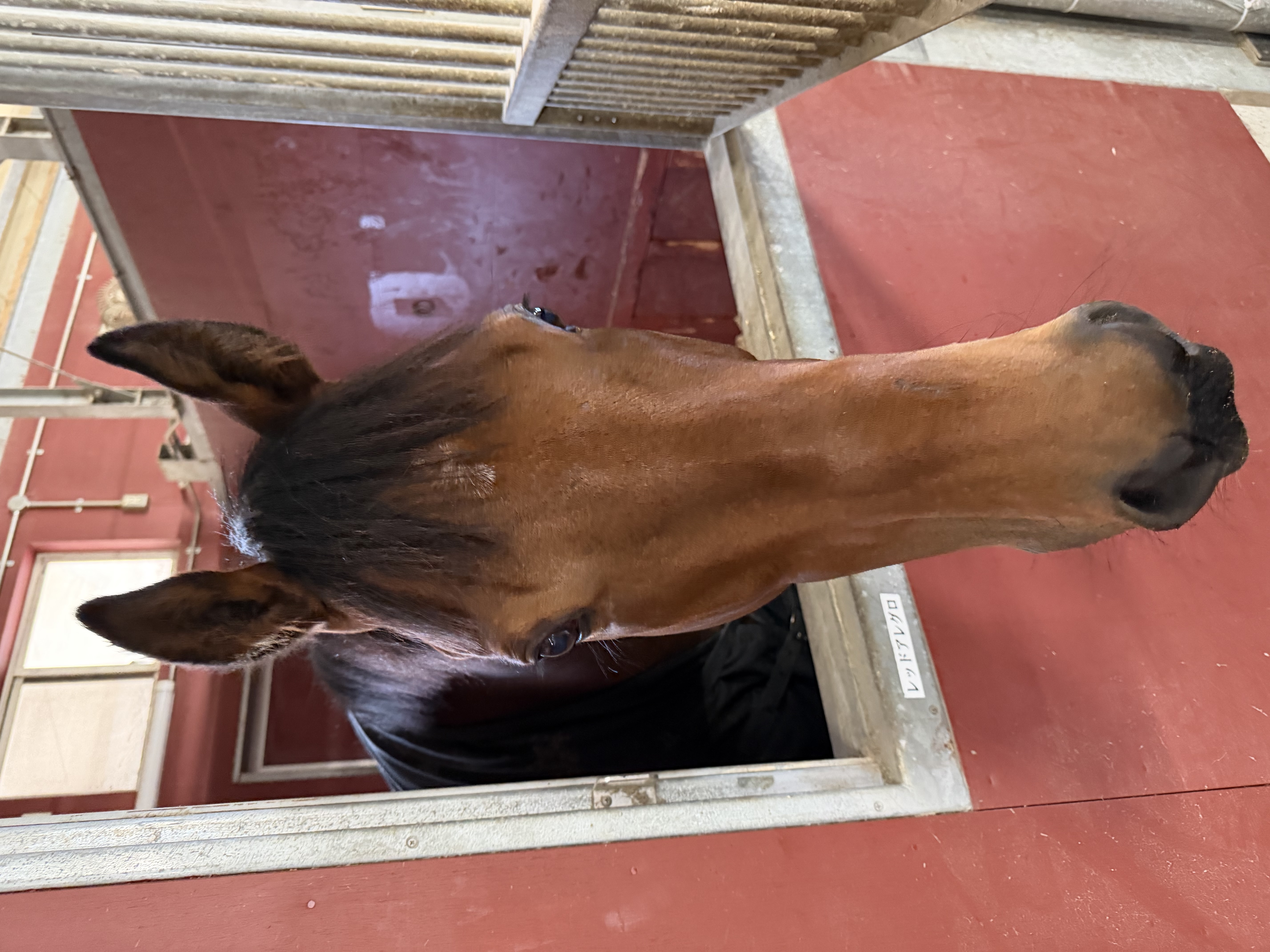 画像サムネイル