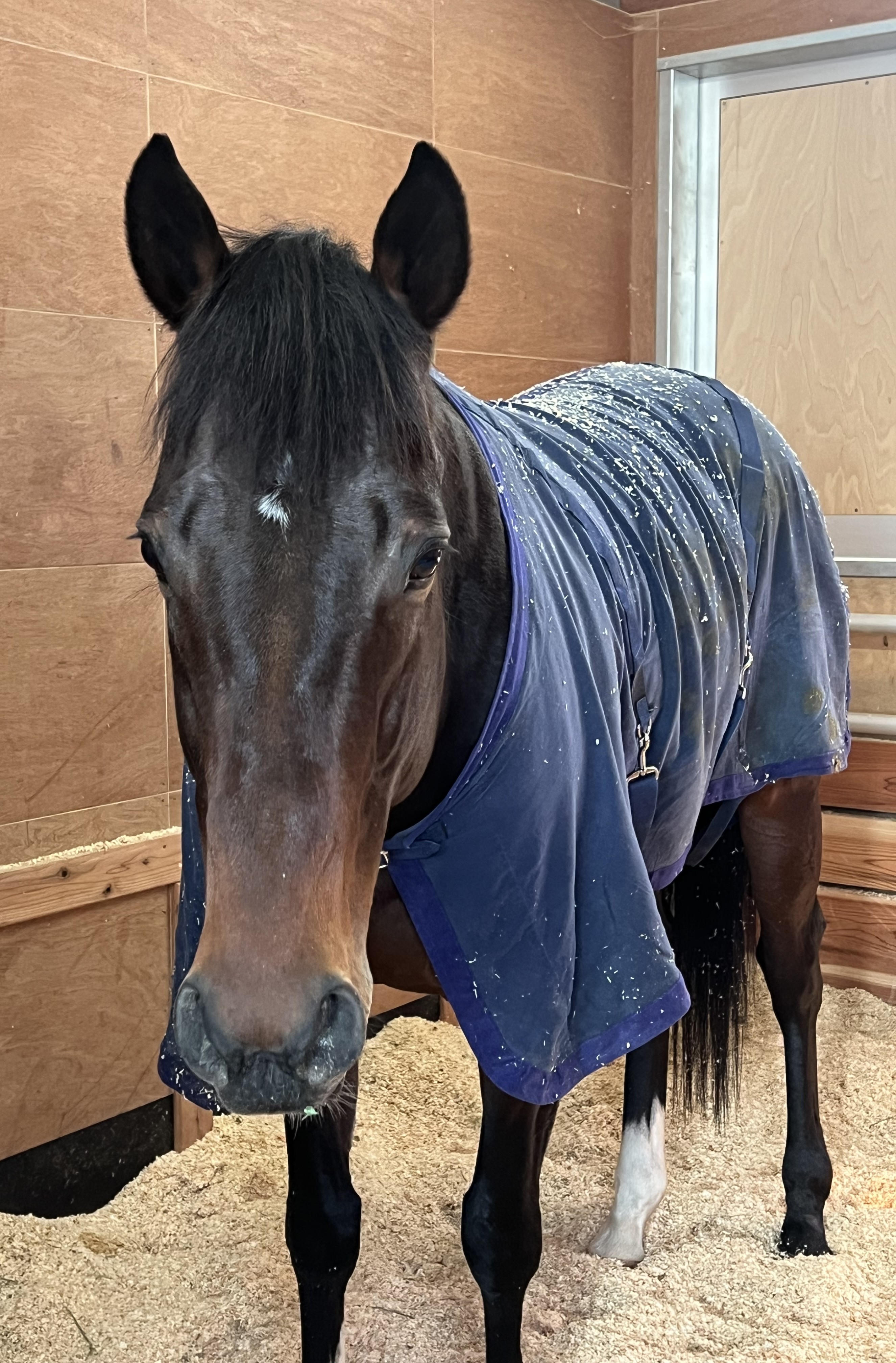 画像サムネイル