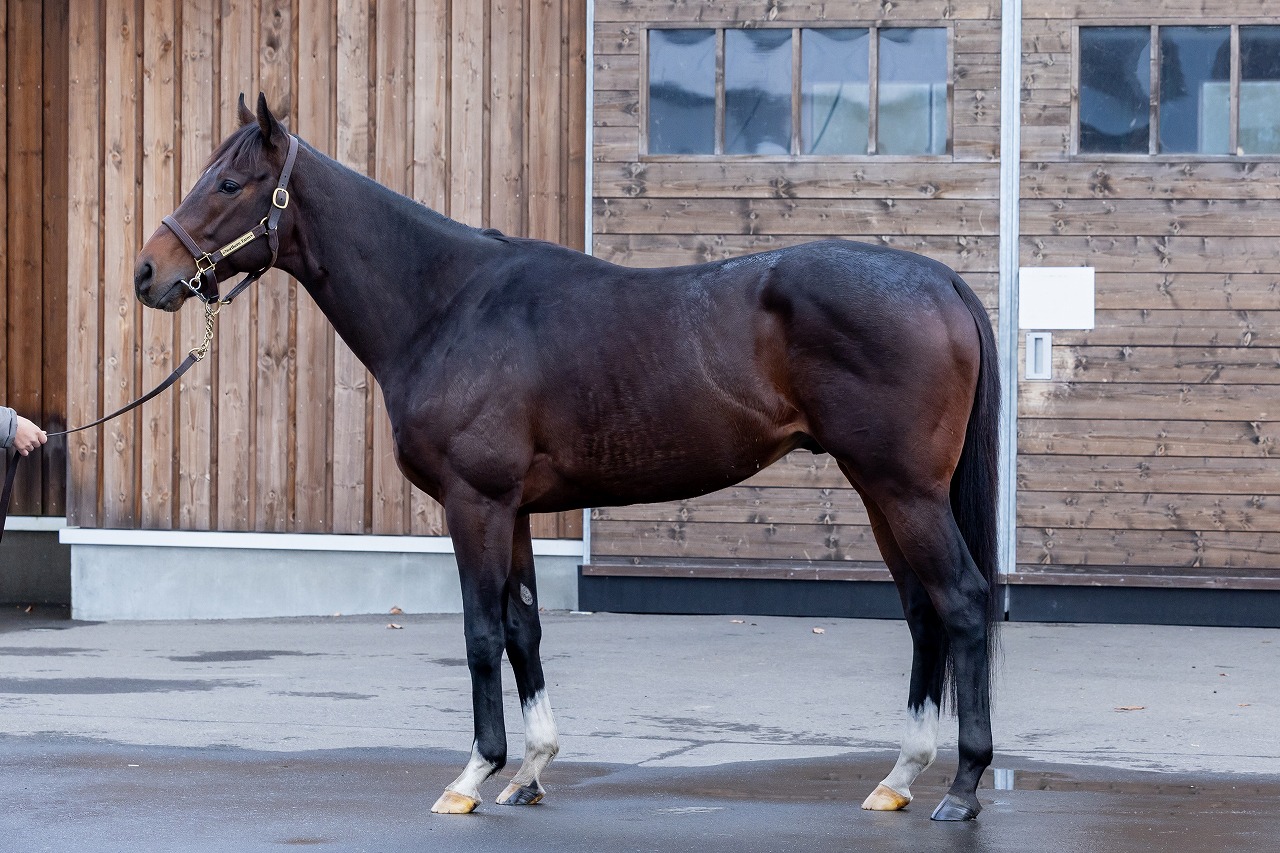 画像サムネイル