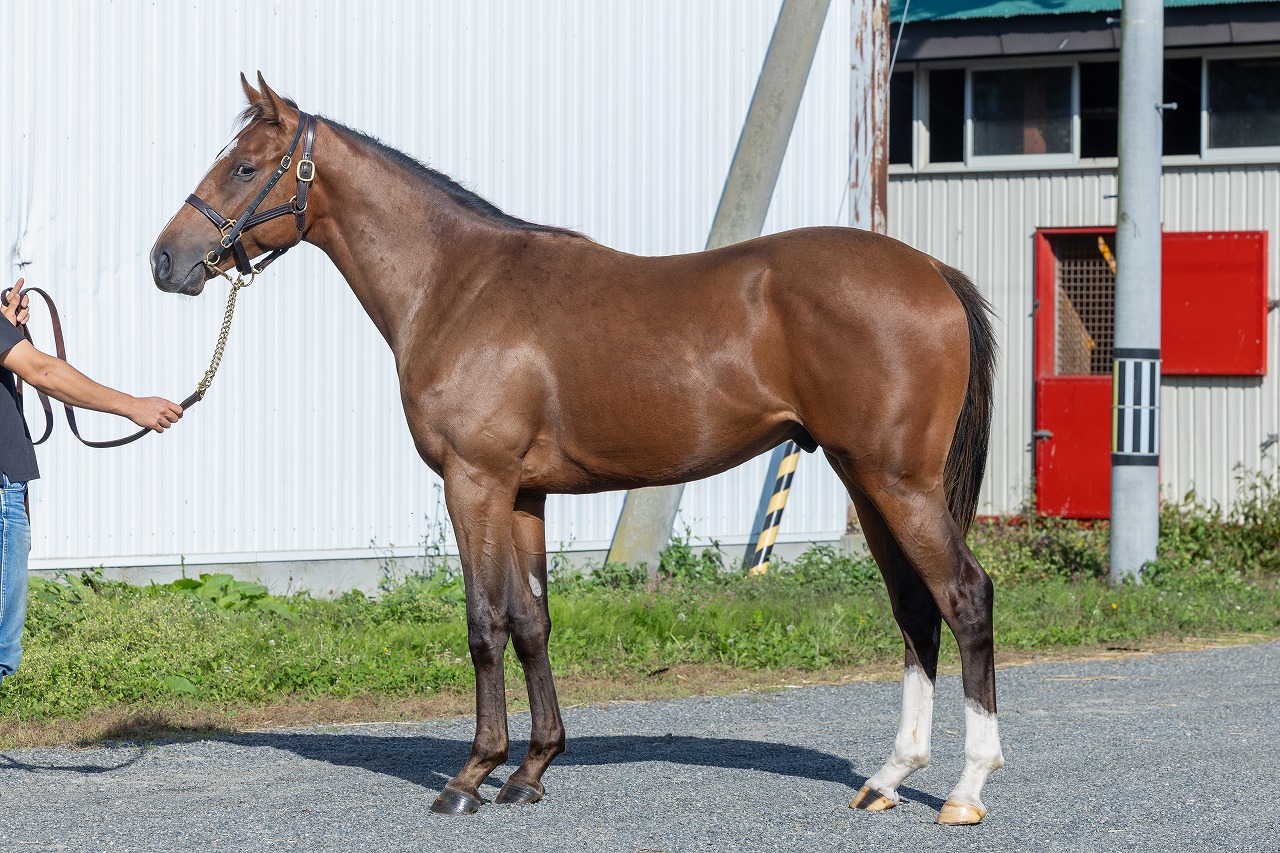 画像サムネイル