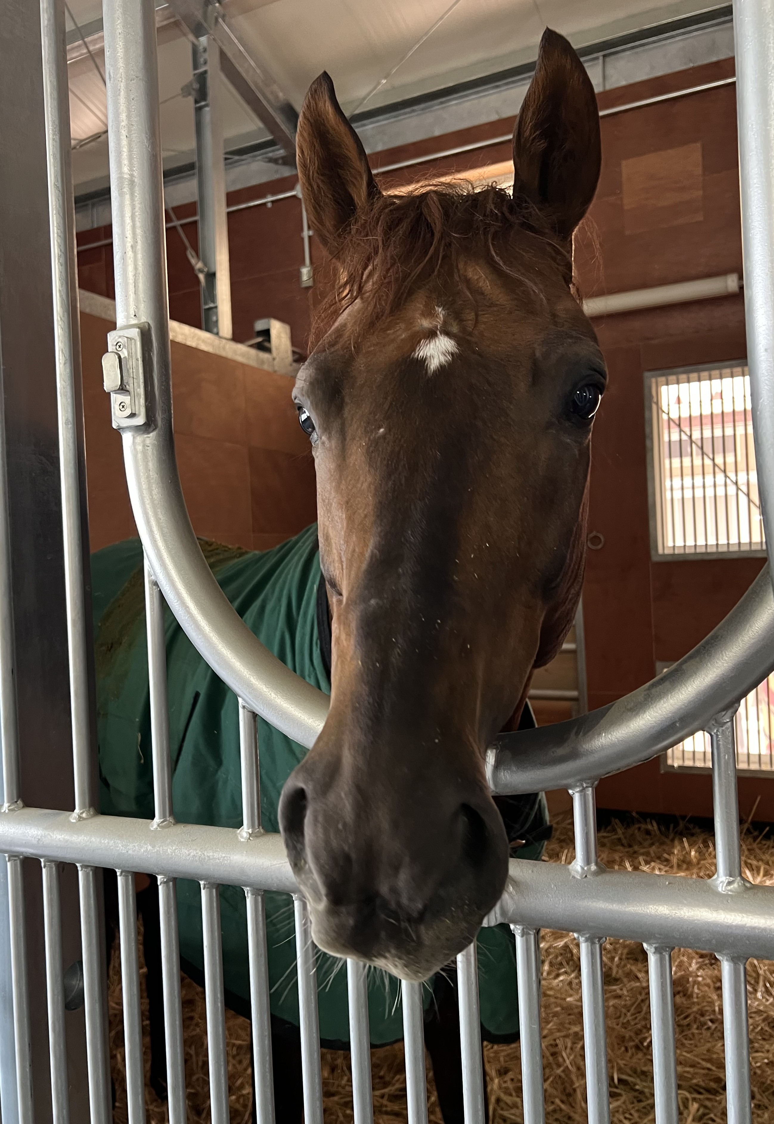 画像サムネイル