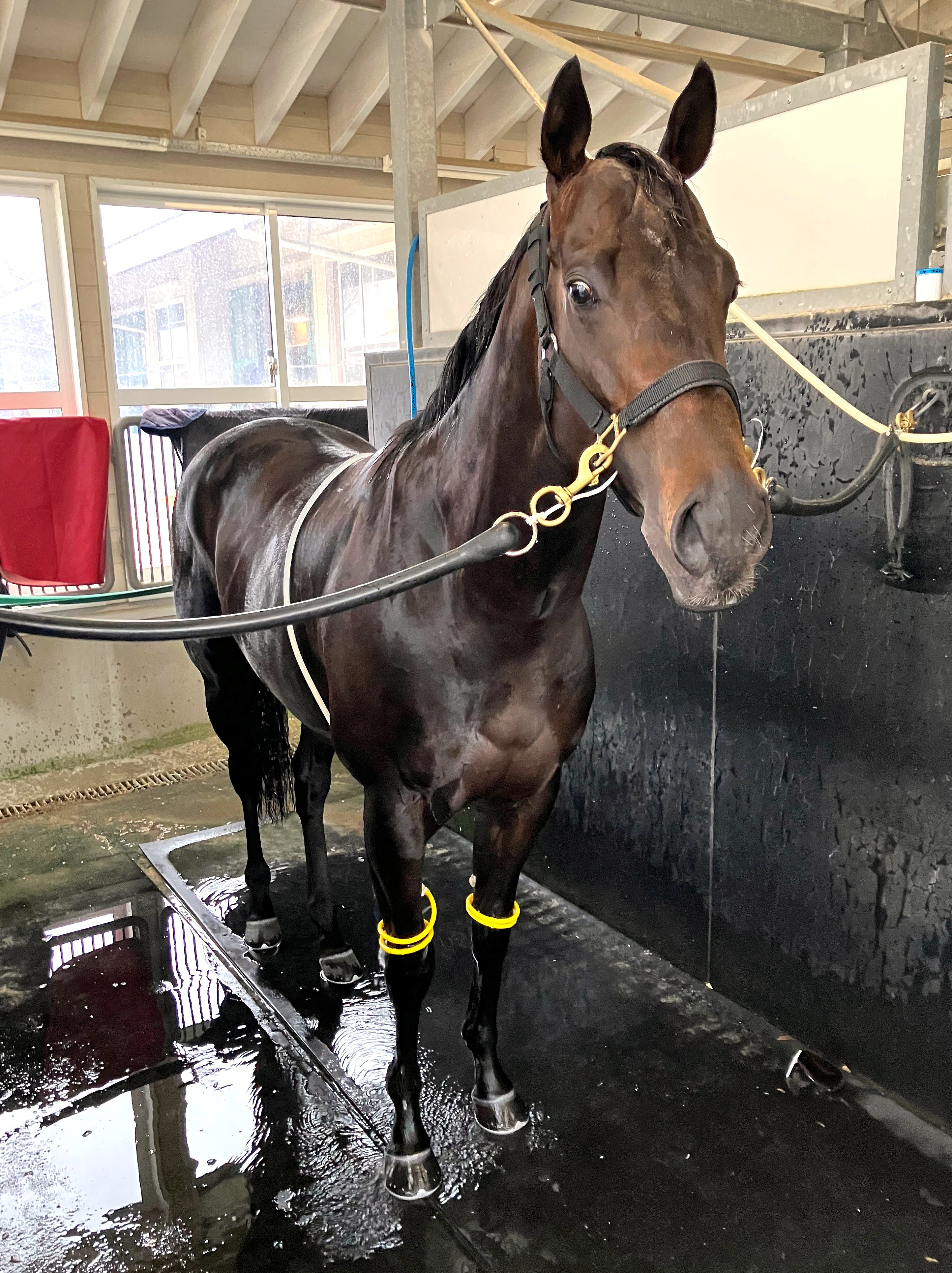 画像サムネイル