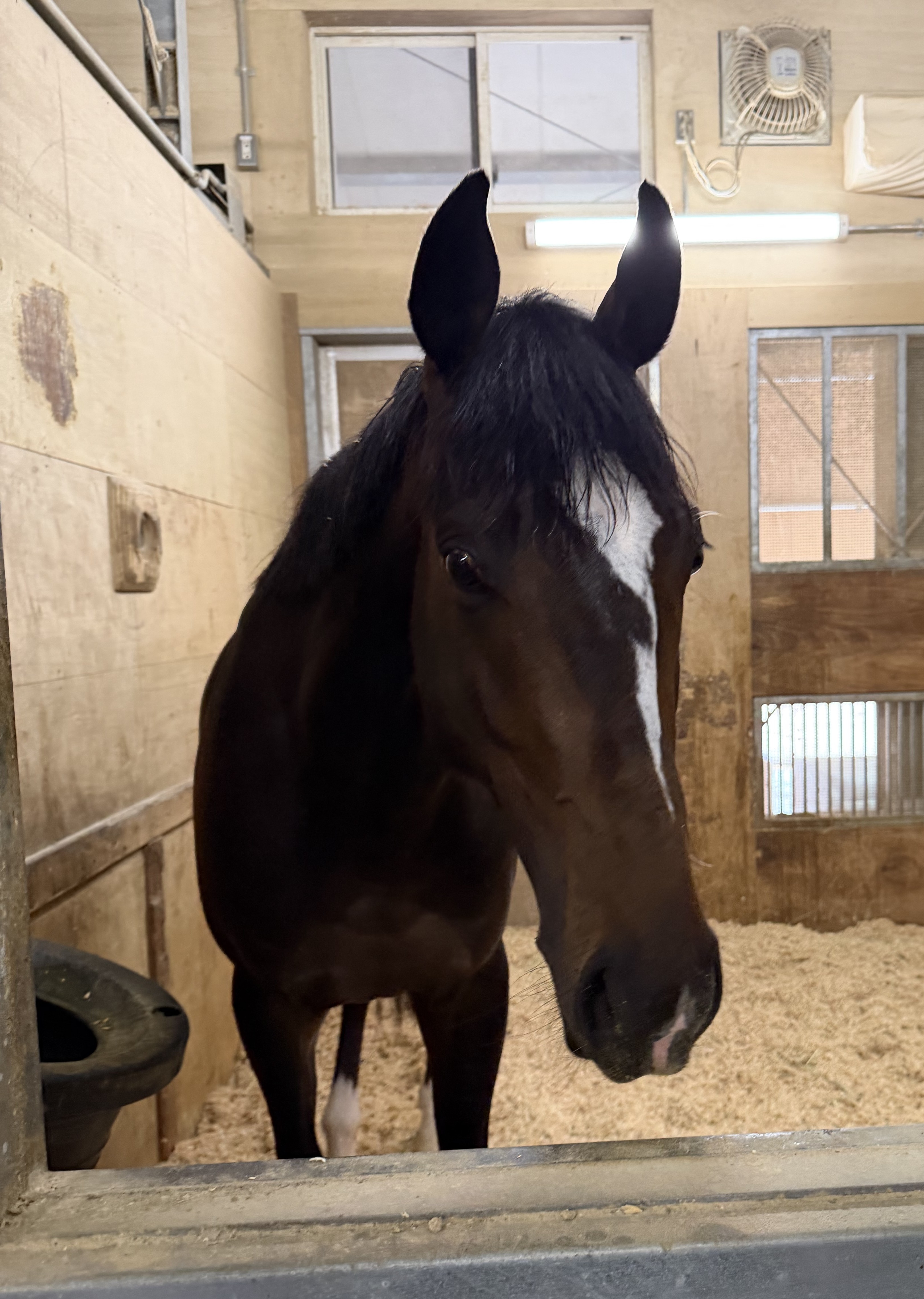 画像サムネイル