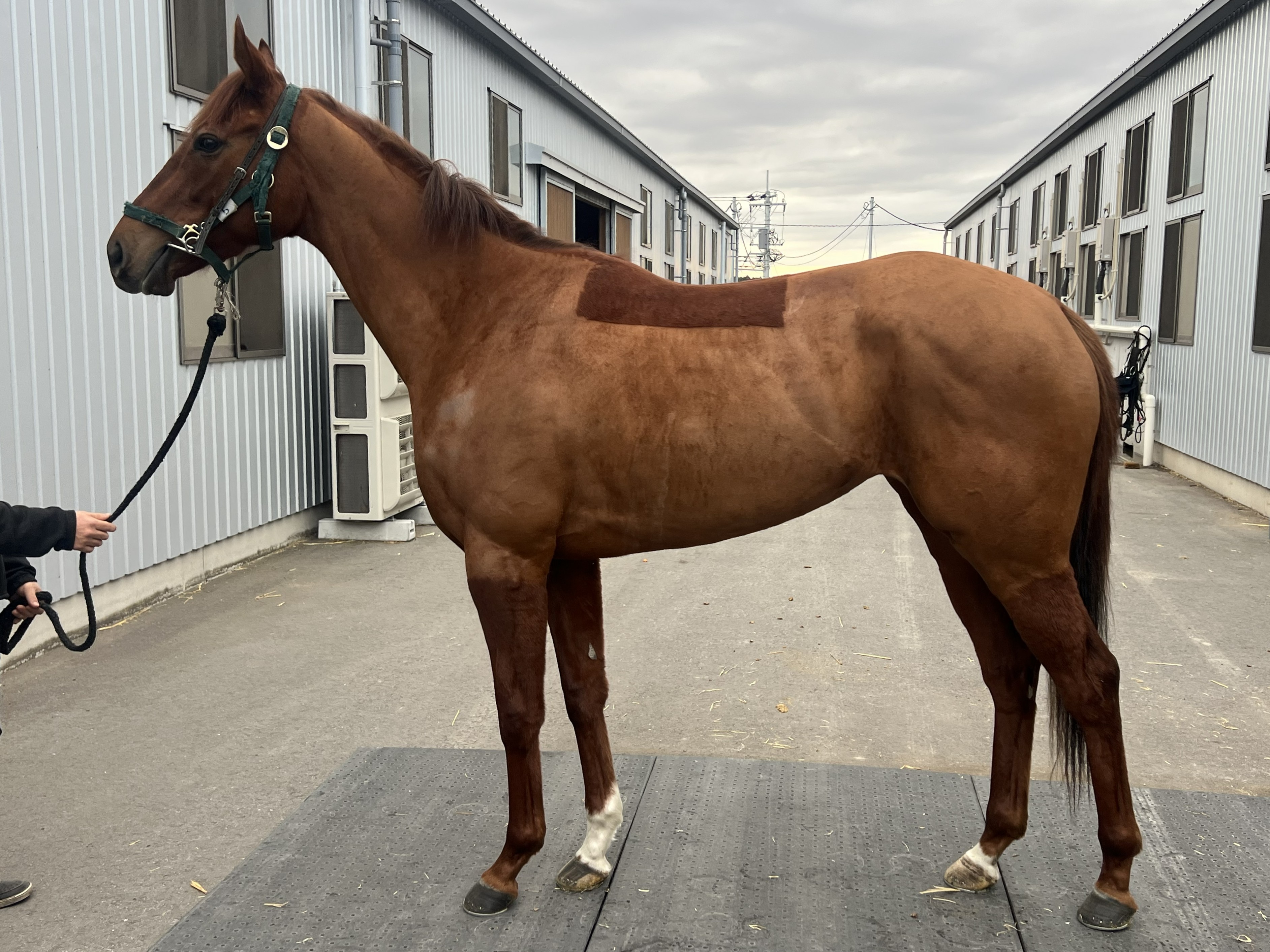 画像サムネイル