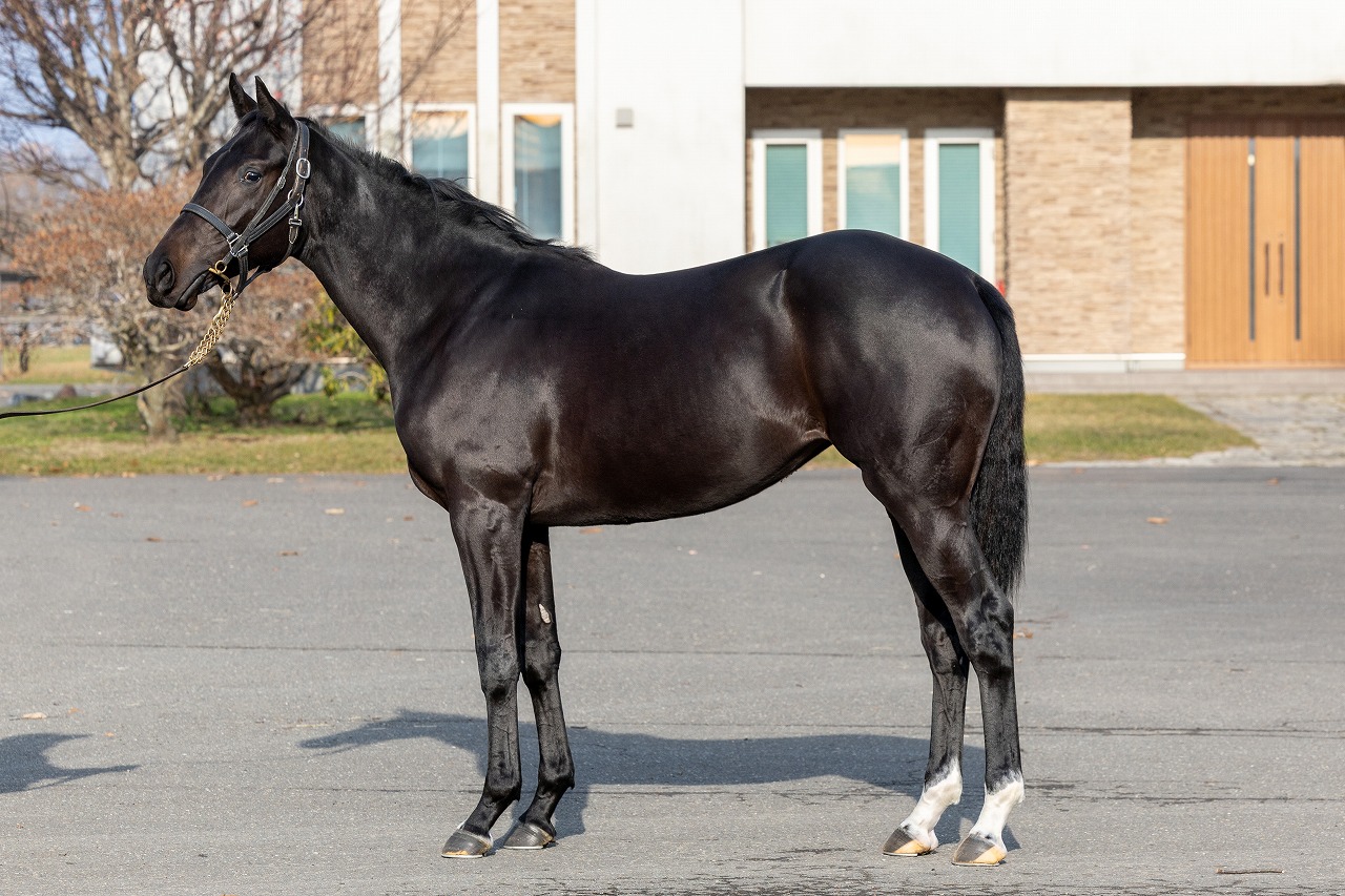 画像サムネイル