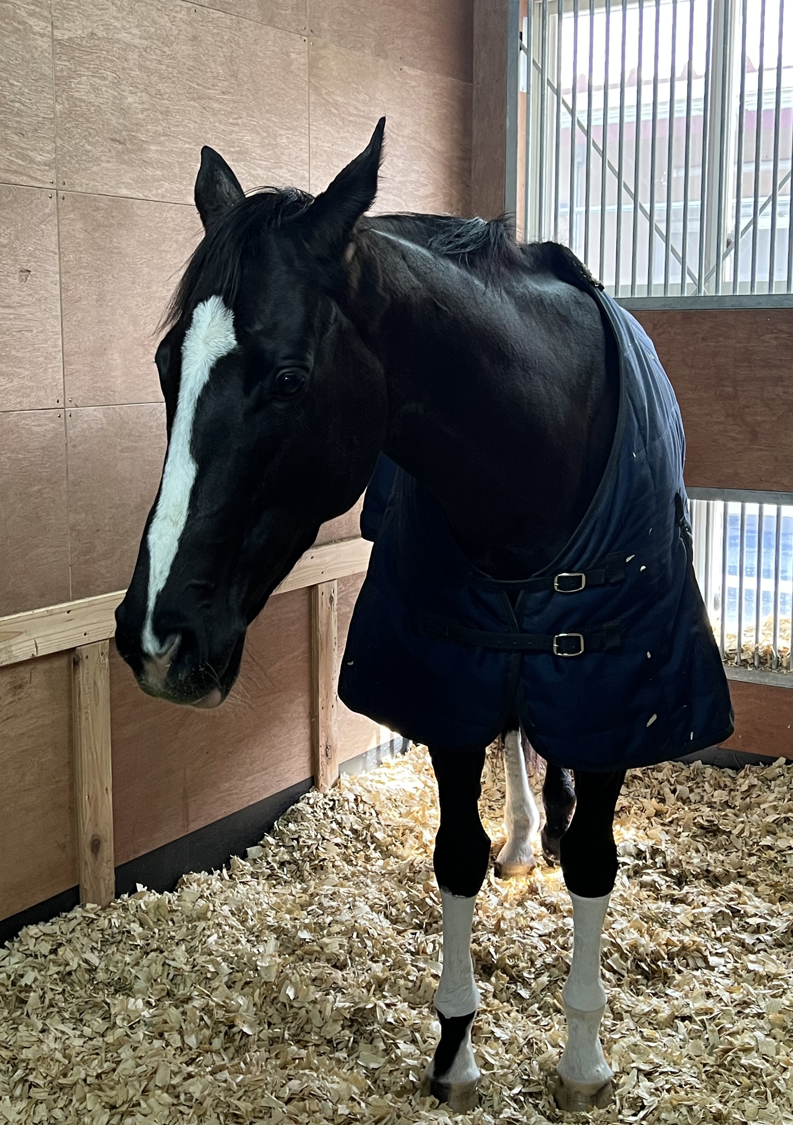 画像サムネイル