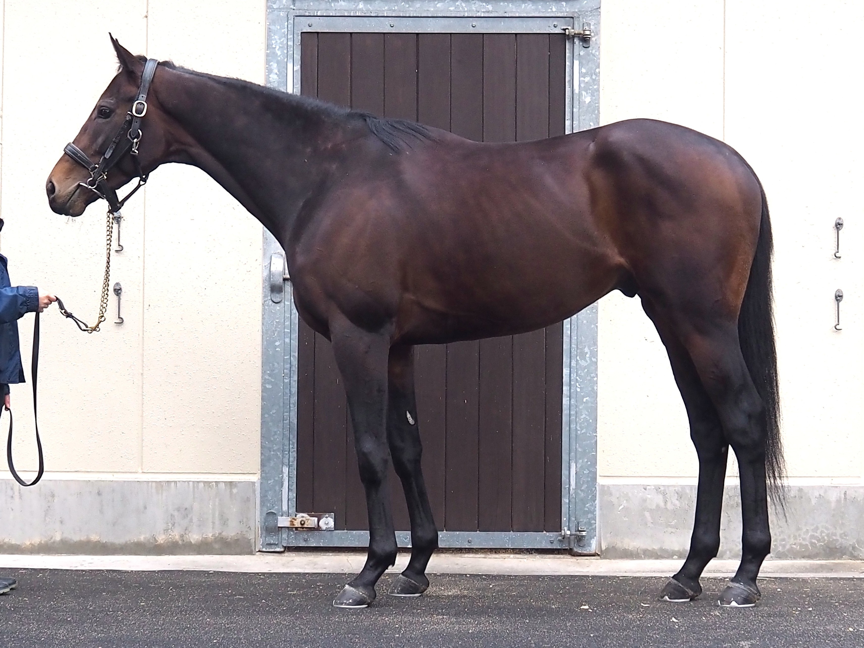 画像サムネイル