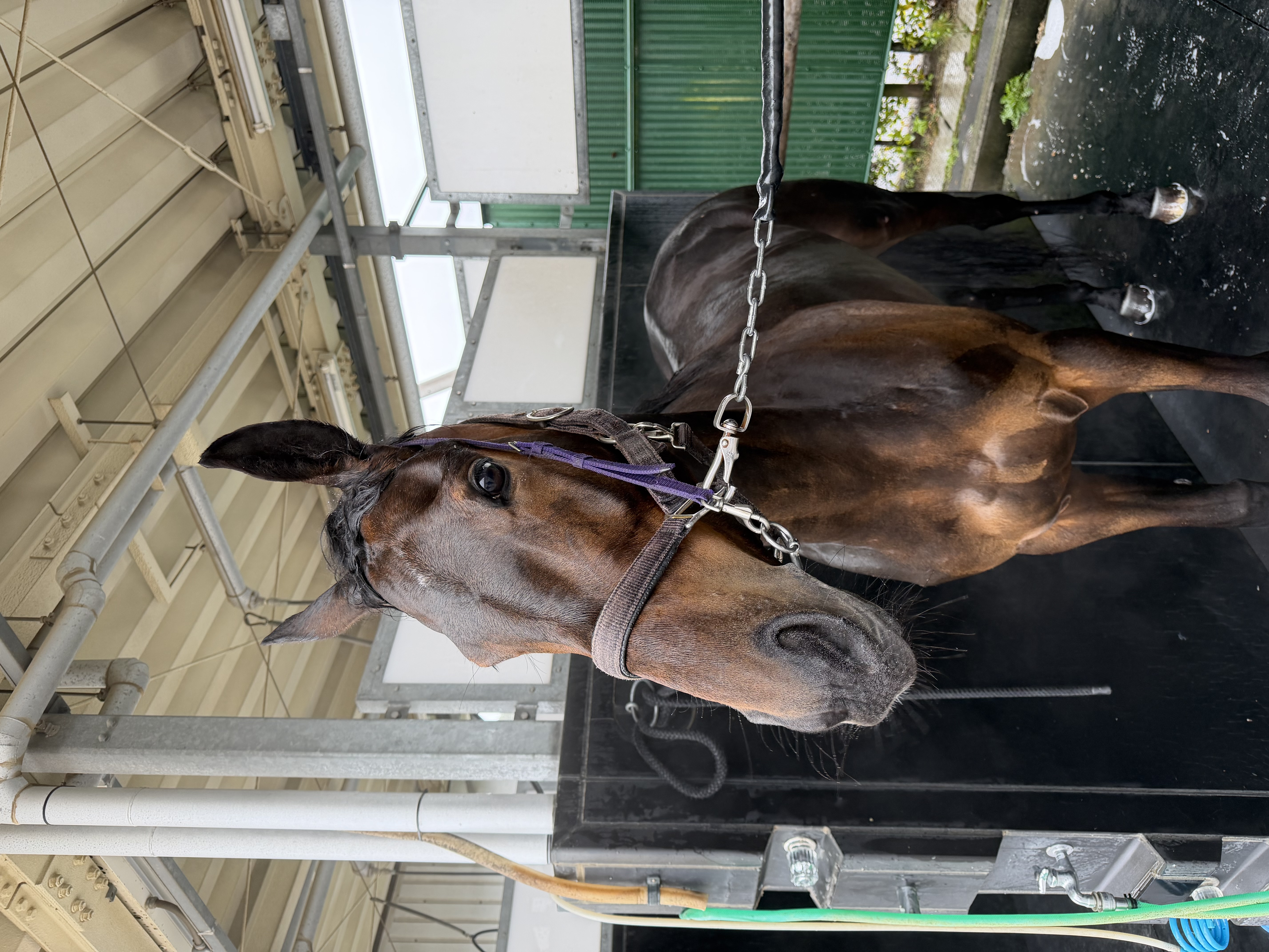 画像サムネイル