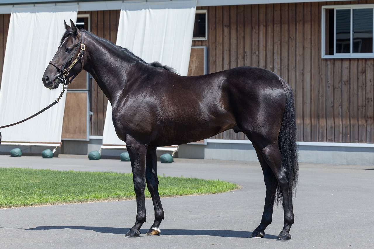 画像サムネイル