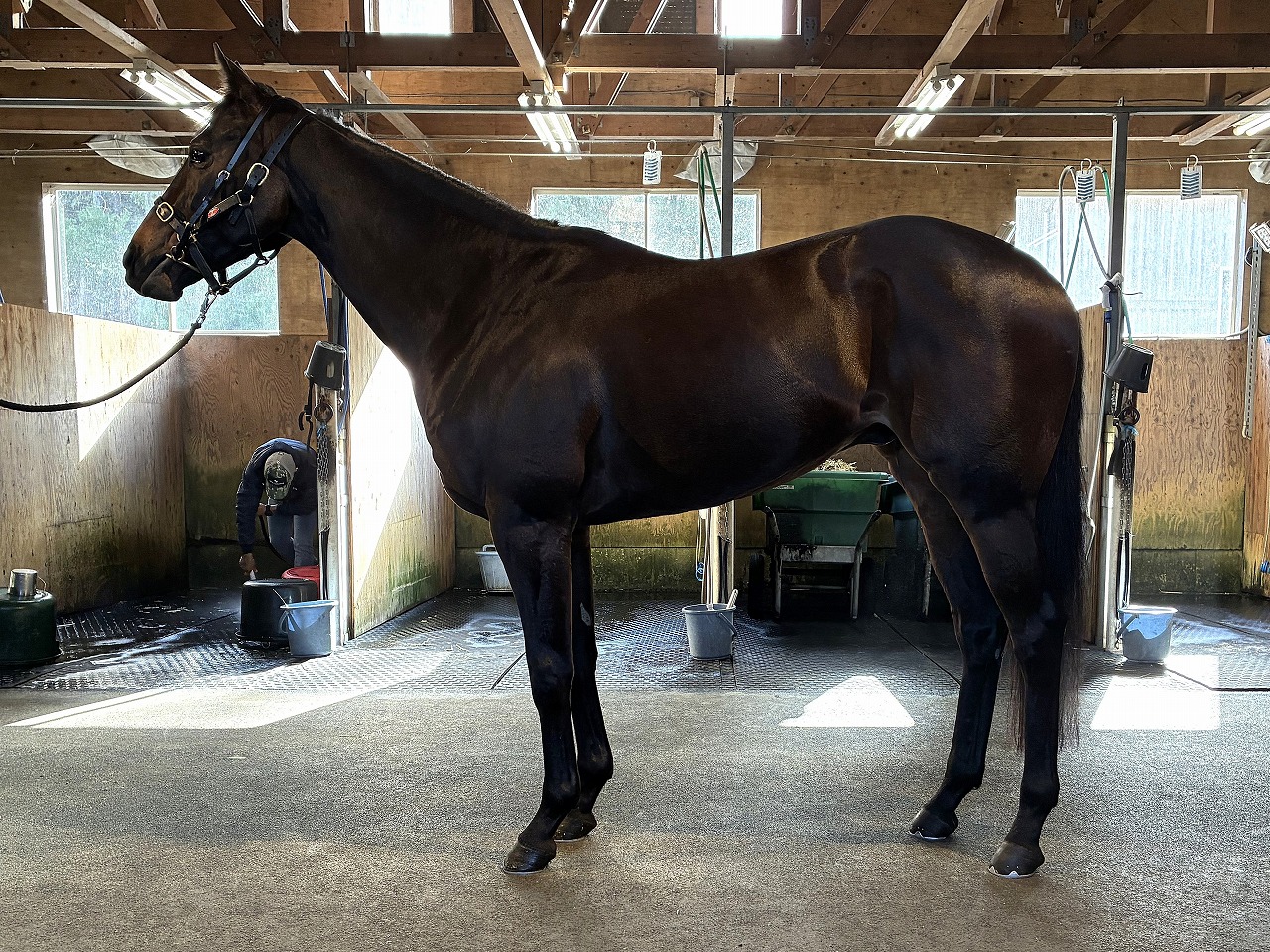 画像サムネイル