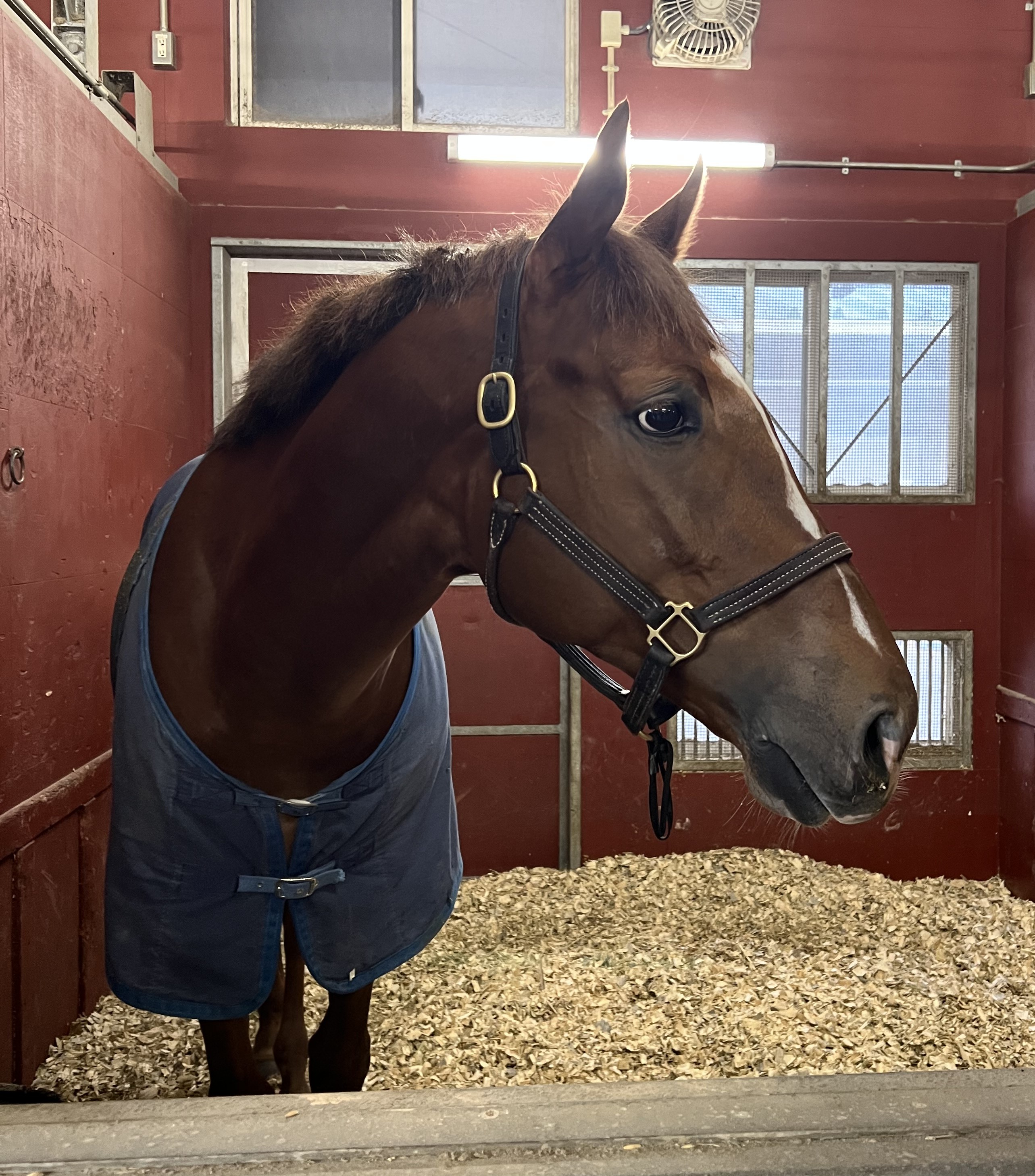 画像サムネイル