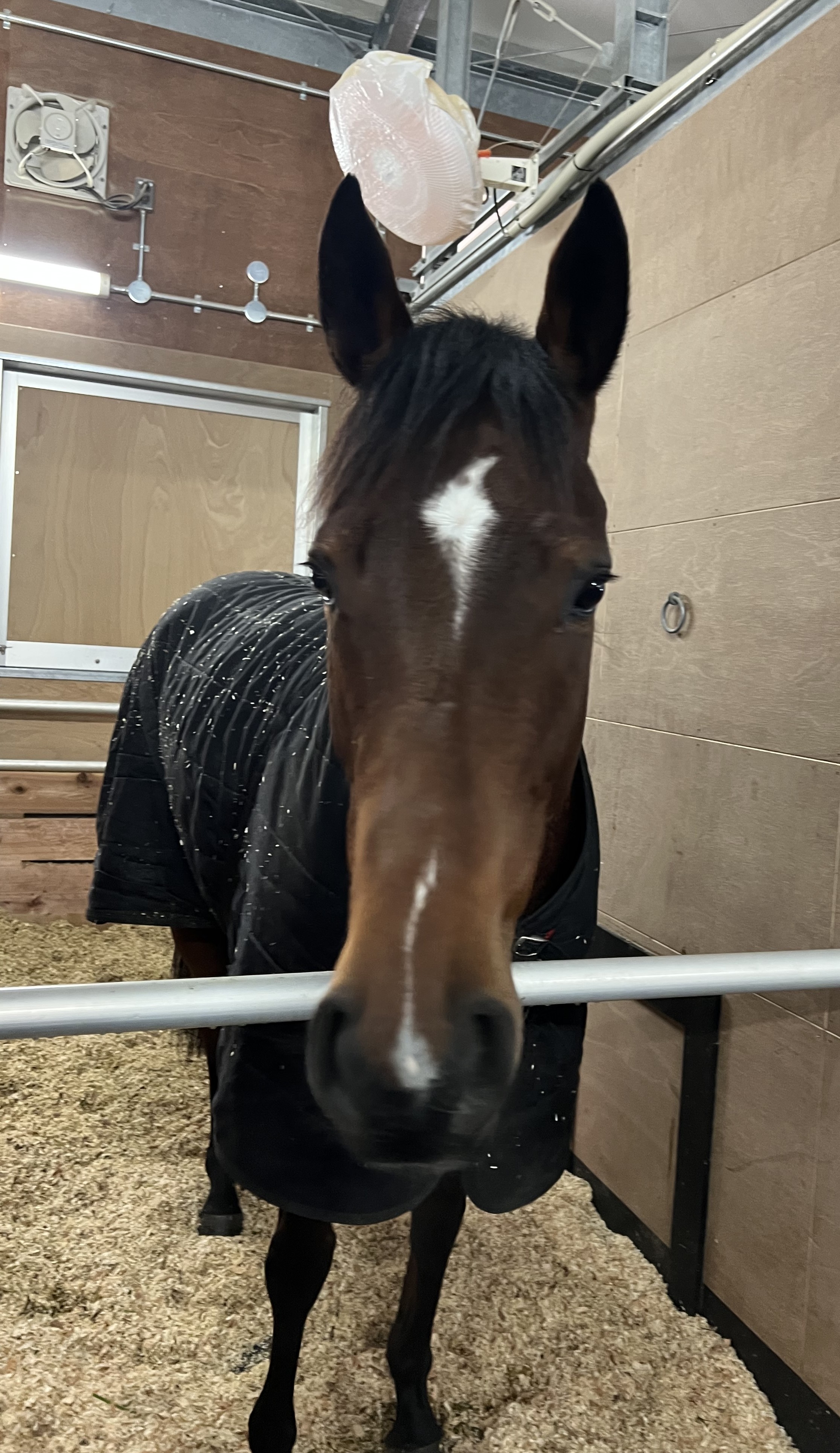 画像サムネイル