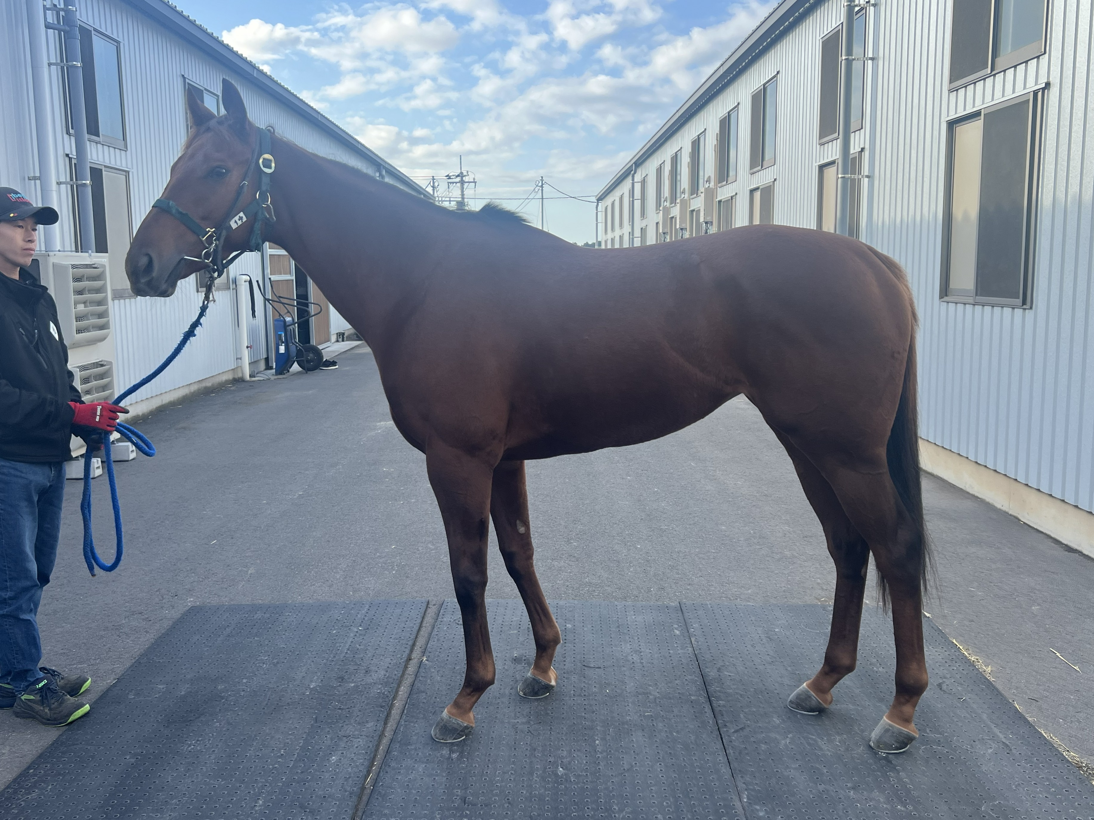 画像サムネイル