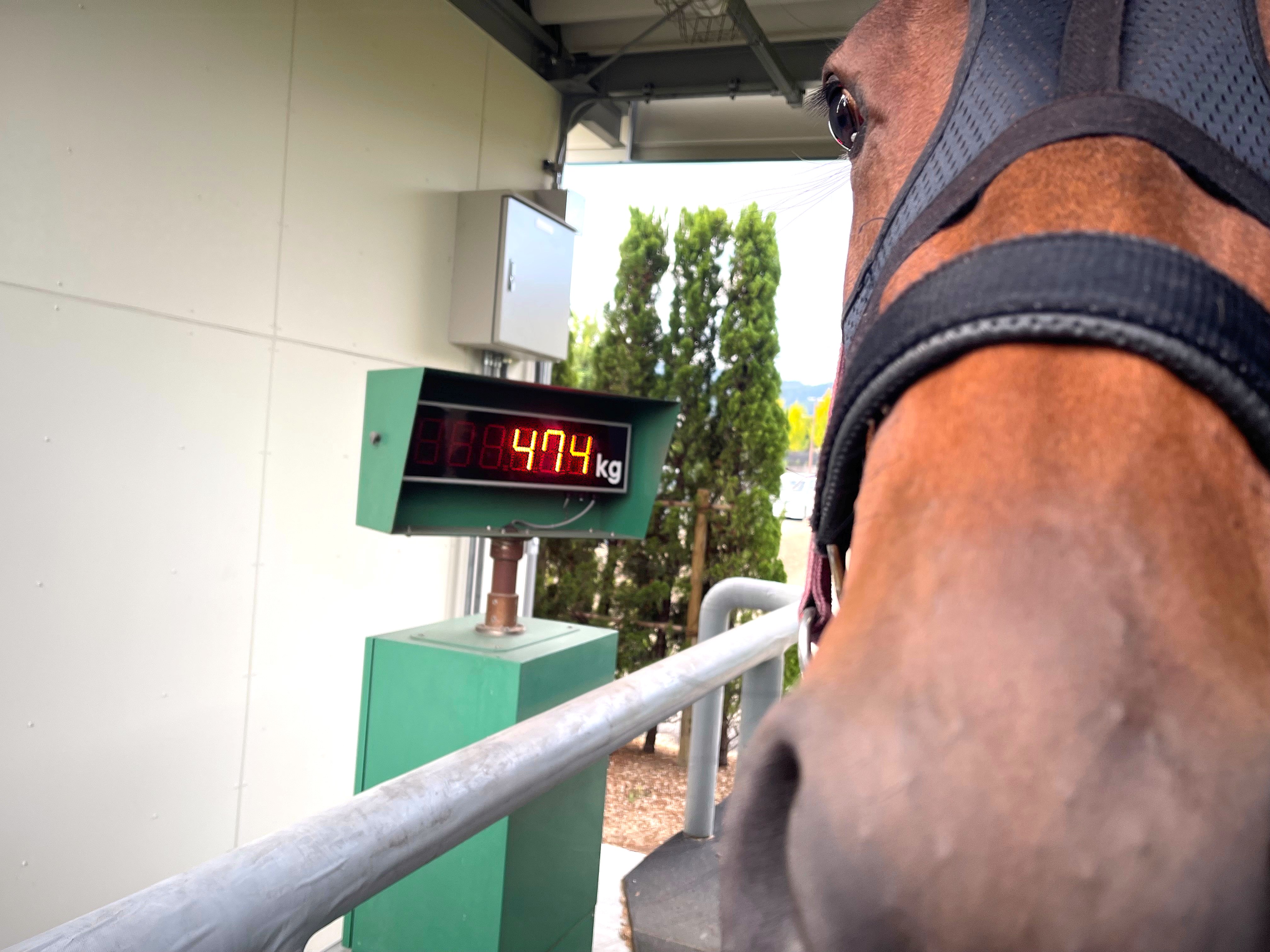 画像サムネイル