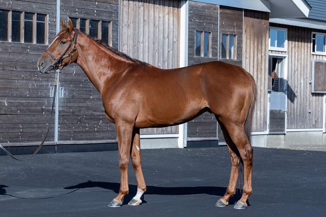 画像サムネイル