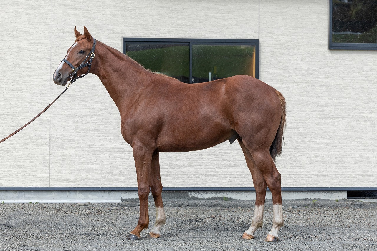 画像サムネイル