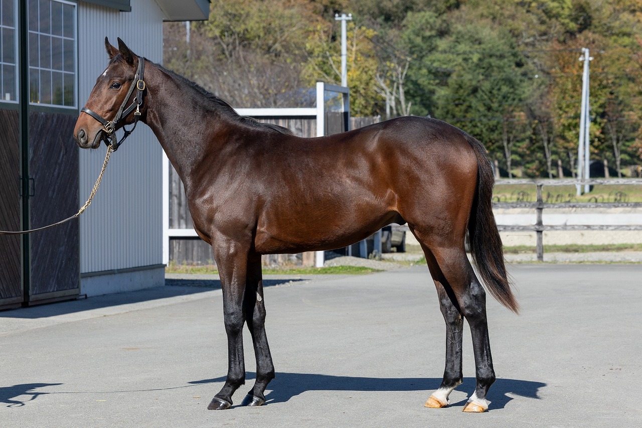 画像サムネイル