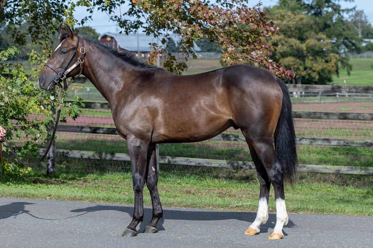 画像サムネイル