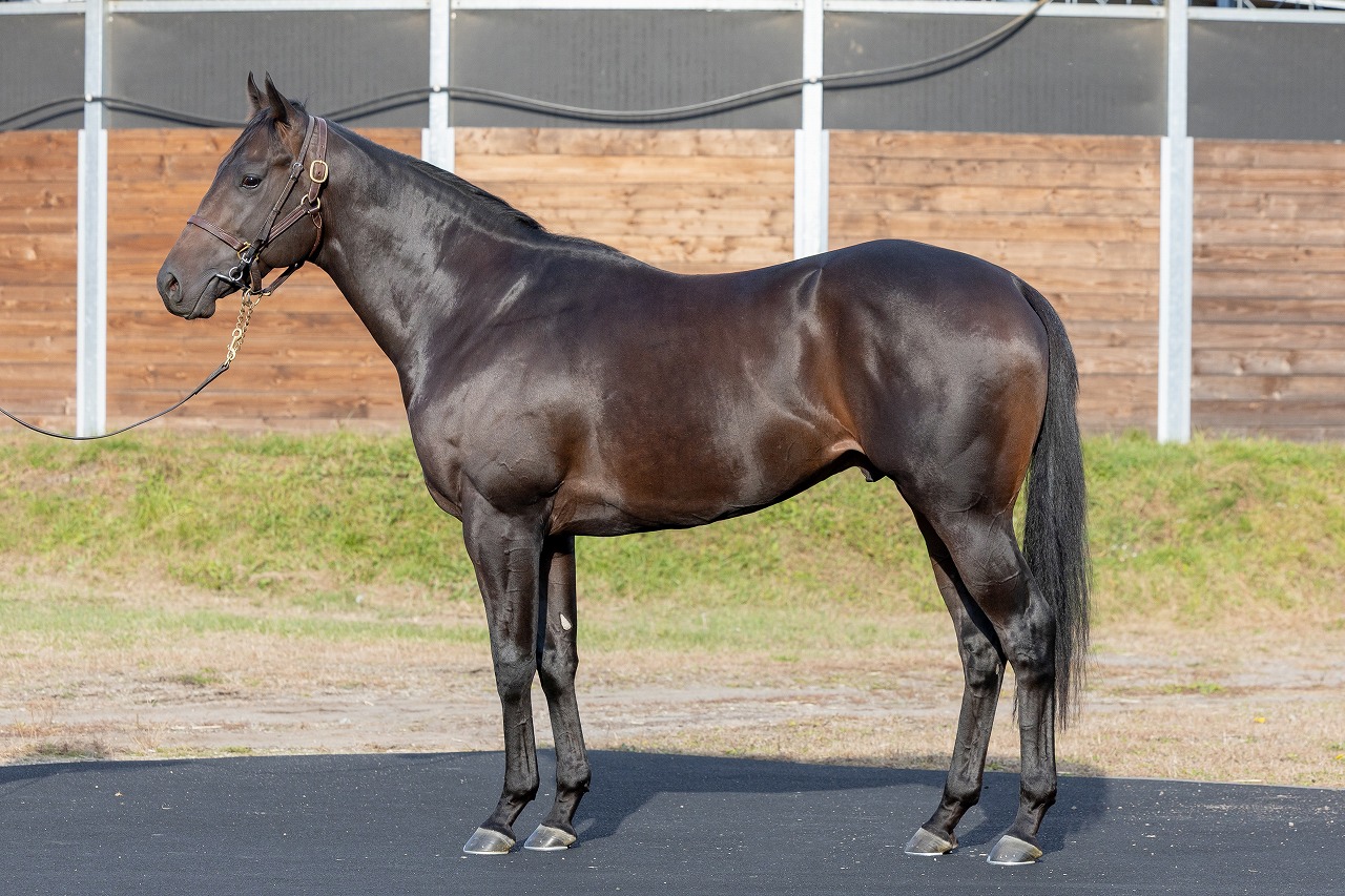 画像サムネイル