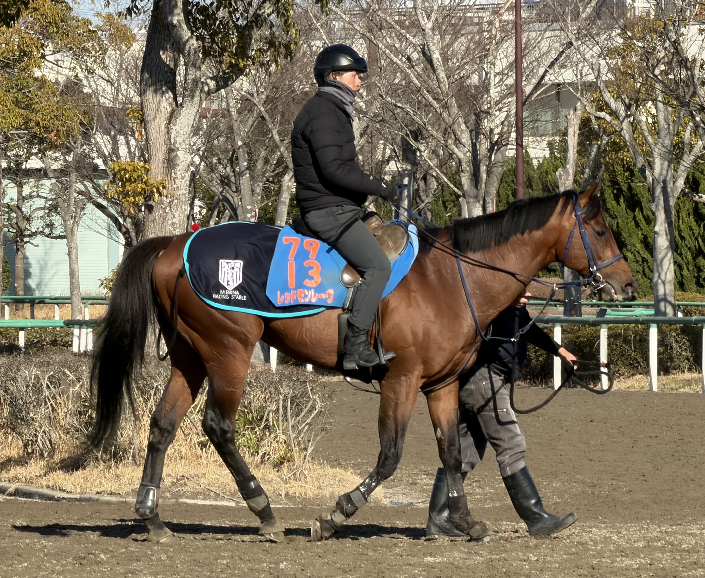 画像サムネイル