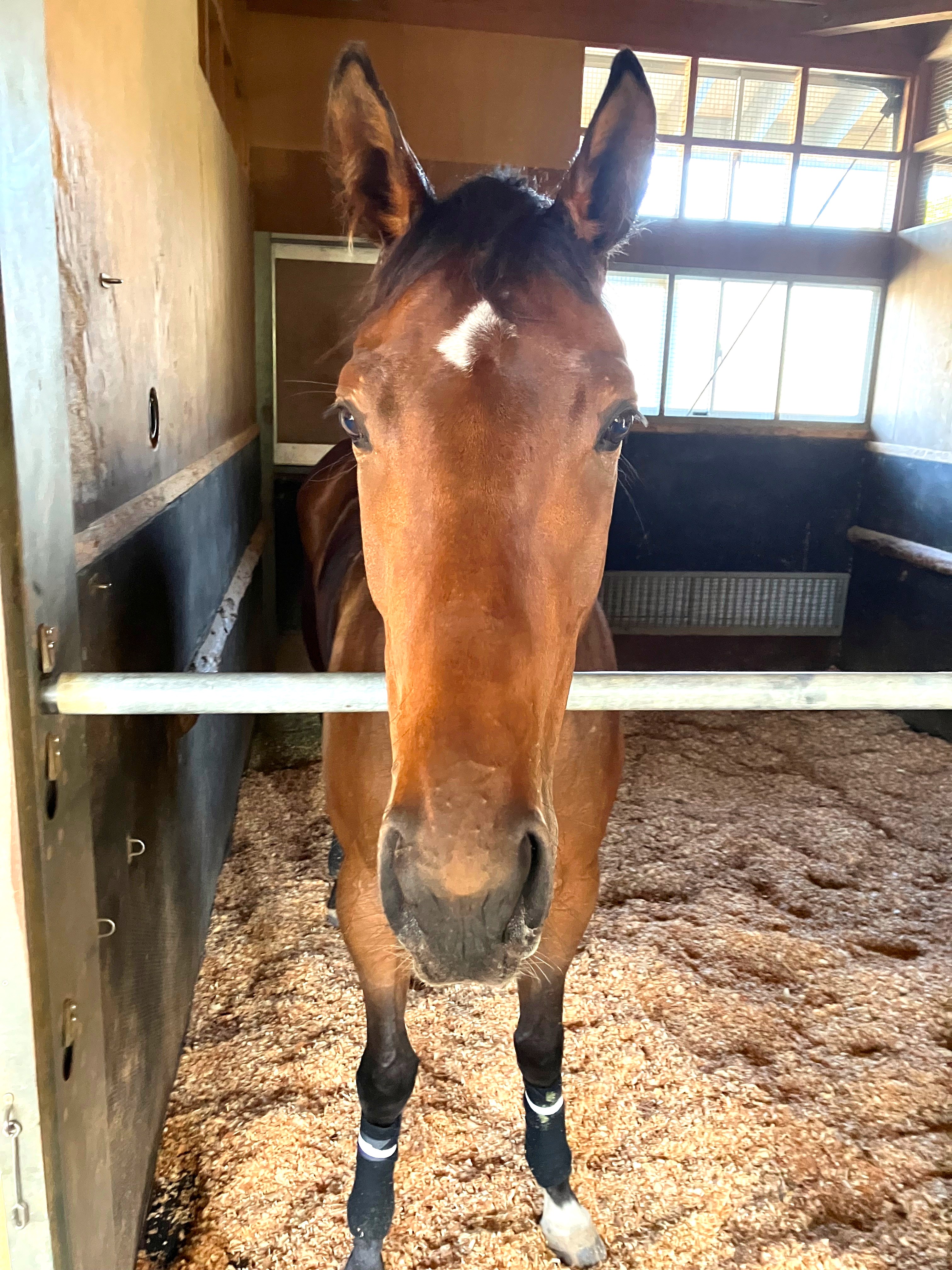 画像サムネイル