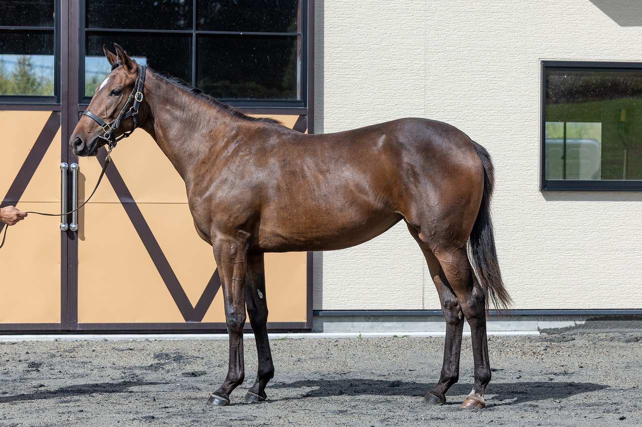 画像サムネイル