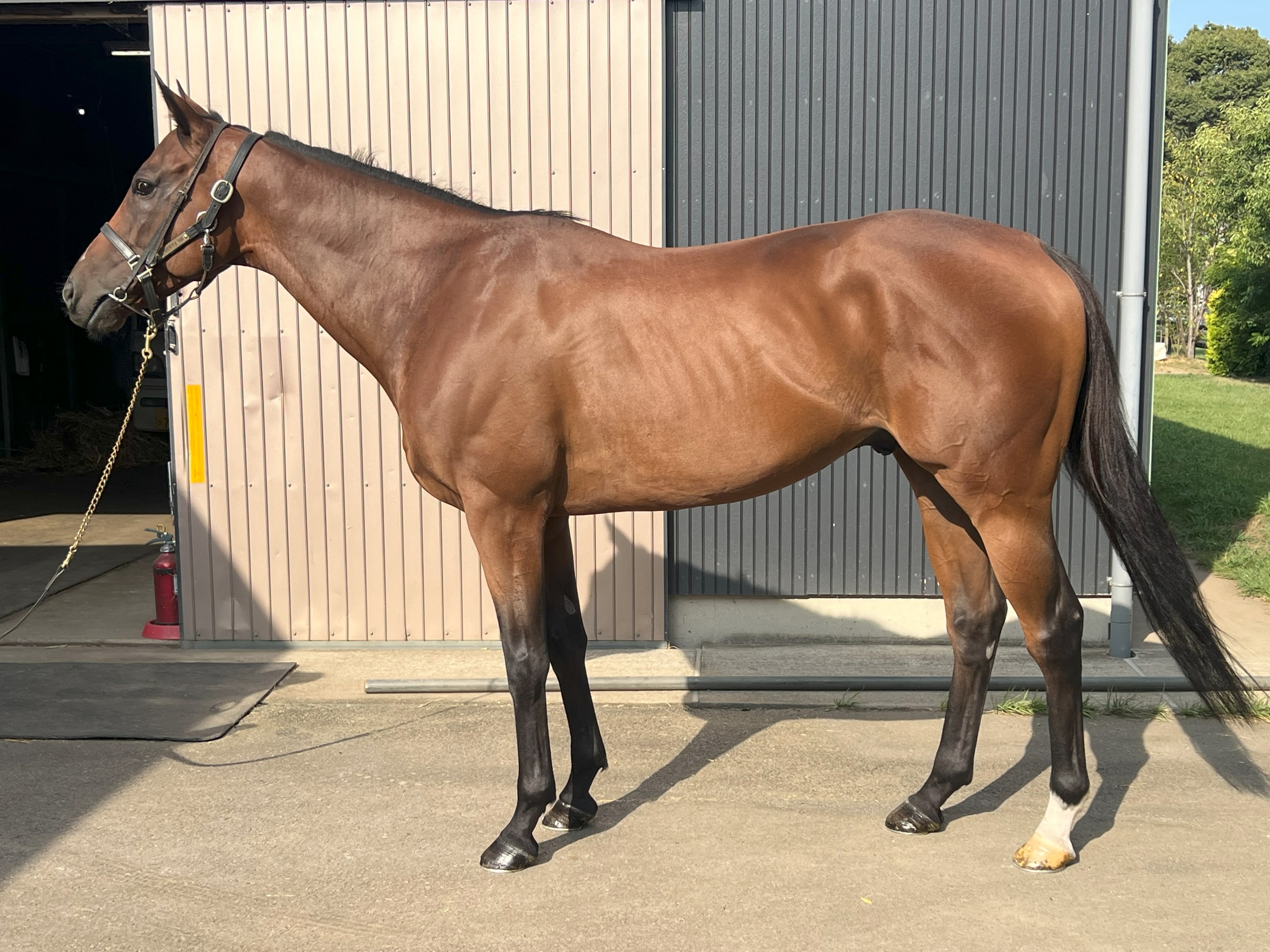 画像サムネイル