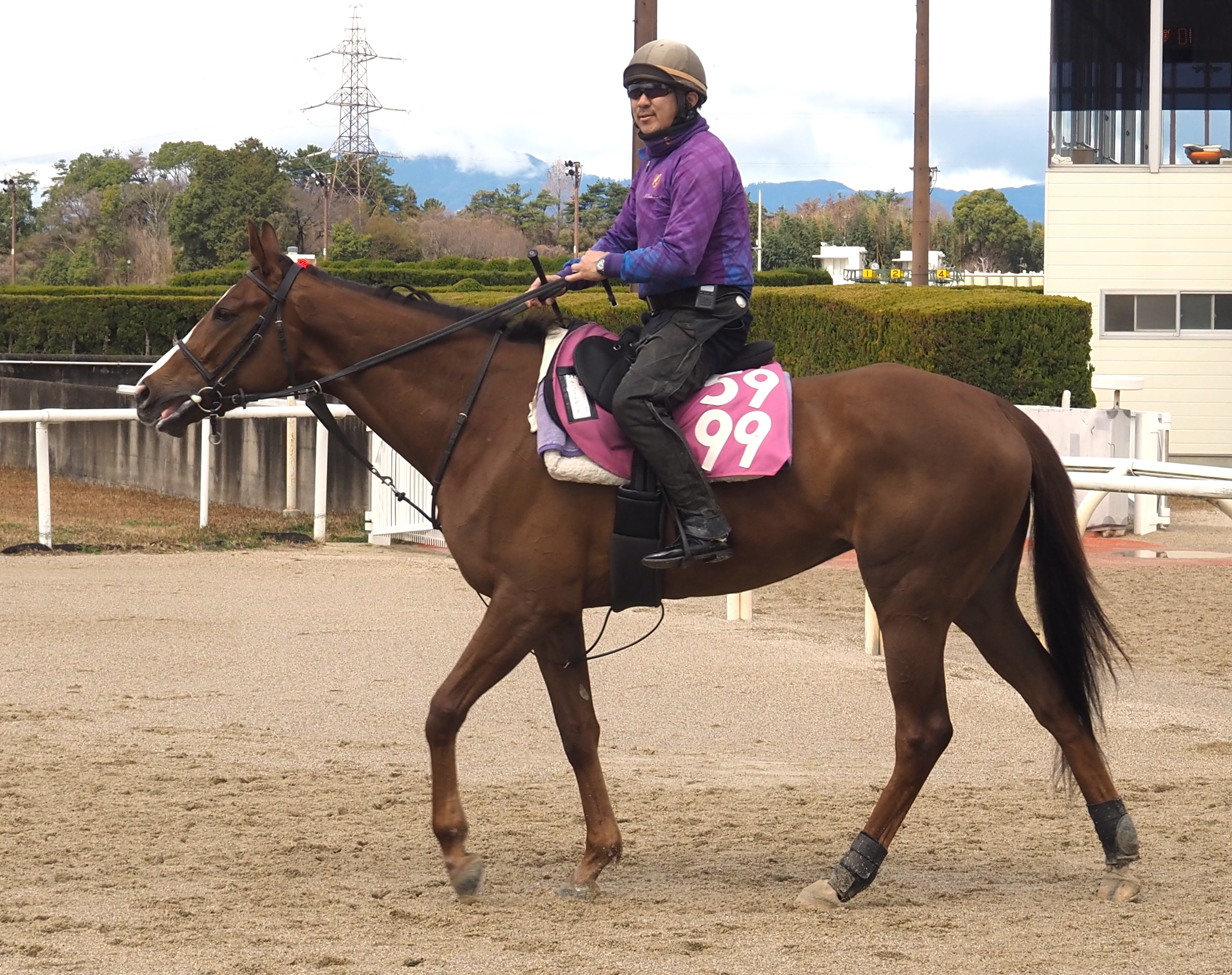 画像サムネイル