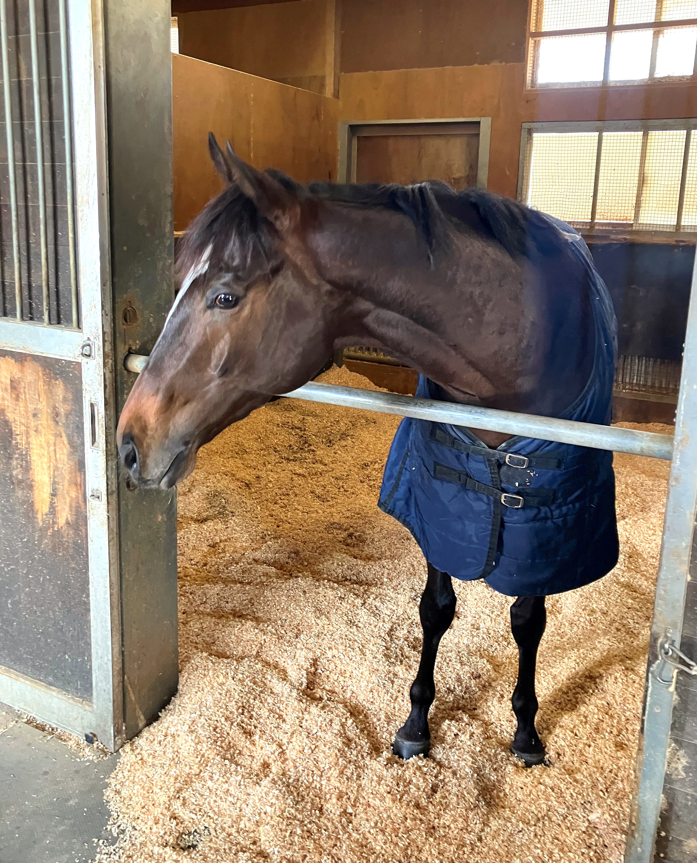 画像サムネイル