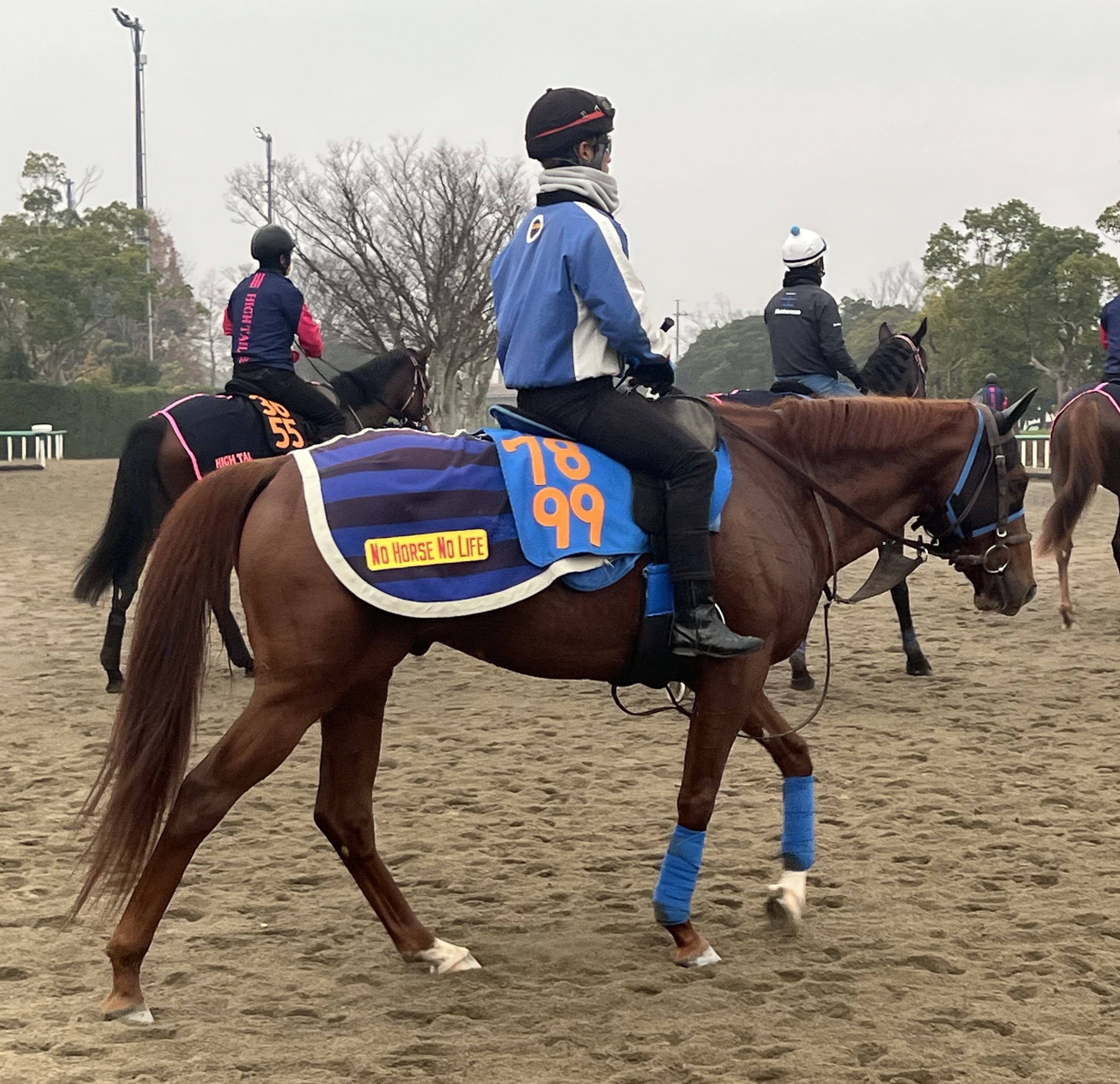 画像サムネイル